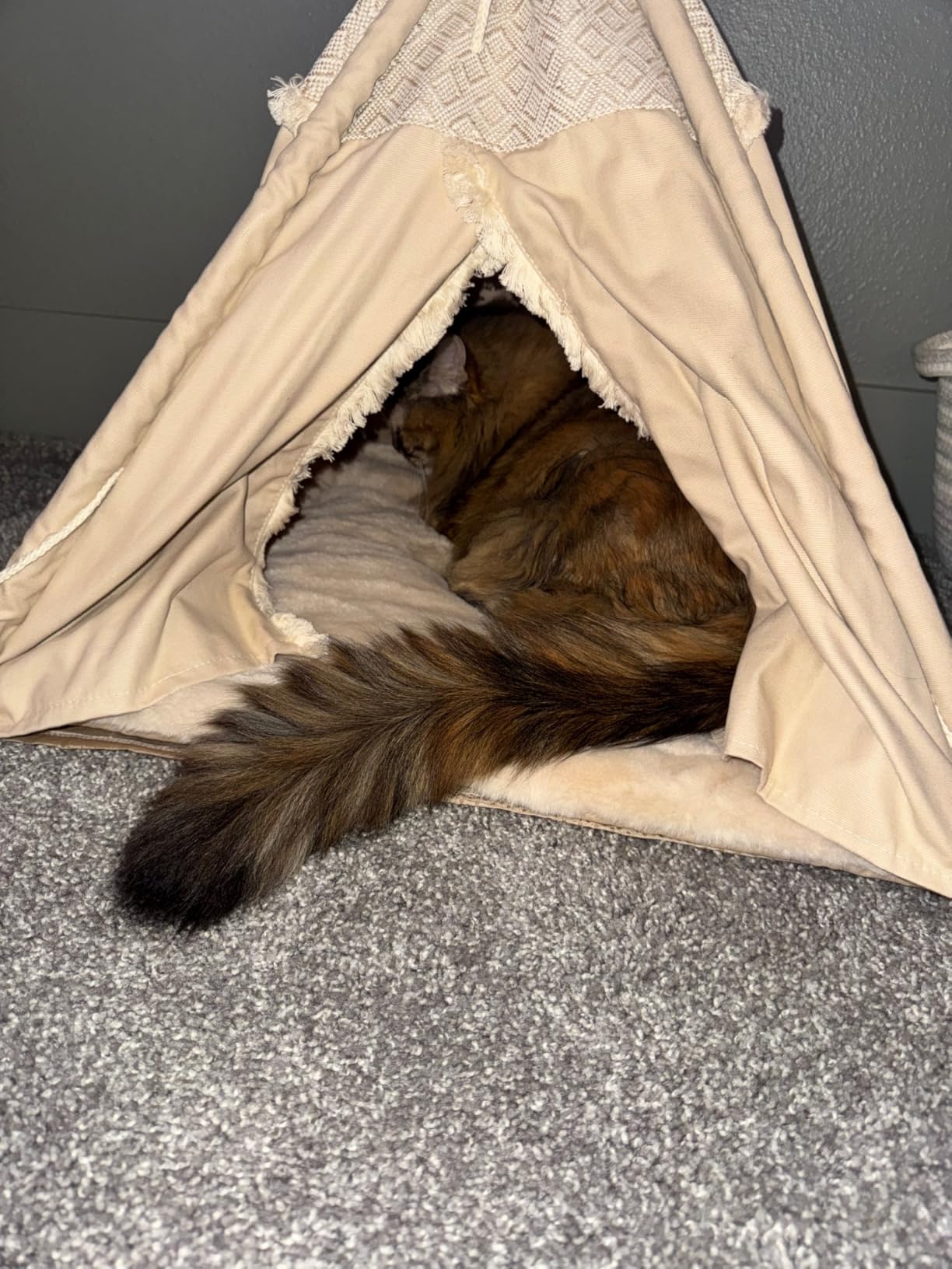 TRIXIE Boho Tipi for Dogs and Cats, Stylish Bed for Cats and Dogs with Reversible Cushion and Tie-Backs, A Perfect Retreat for Kitties and Pups, Beige customer photo 1