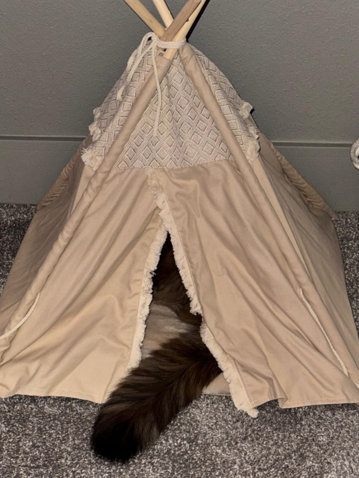 TRIXIE Boho Tipi for Dogs and Cats, Stylish Bed for Cats and Dogs with Reversible Cushion and Tie-Backs, A Perfect Retreat for Kitties and Pups, Beige customer photo 2