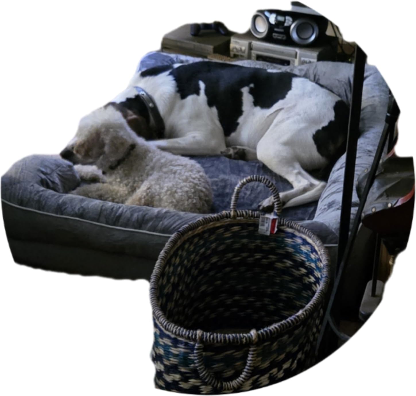 EHEYCIGA Orthopedic Dog Beds for Large Dogs, Waterproof Memory Foam Large Dog Bed with Sides, Non-Slip Bottom and Egg-Crate Foam Pet Couch Bed with Washable Removable Cover, Grey customer photo 1