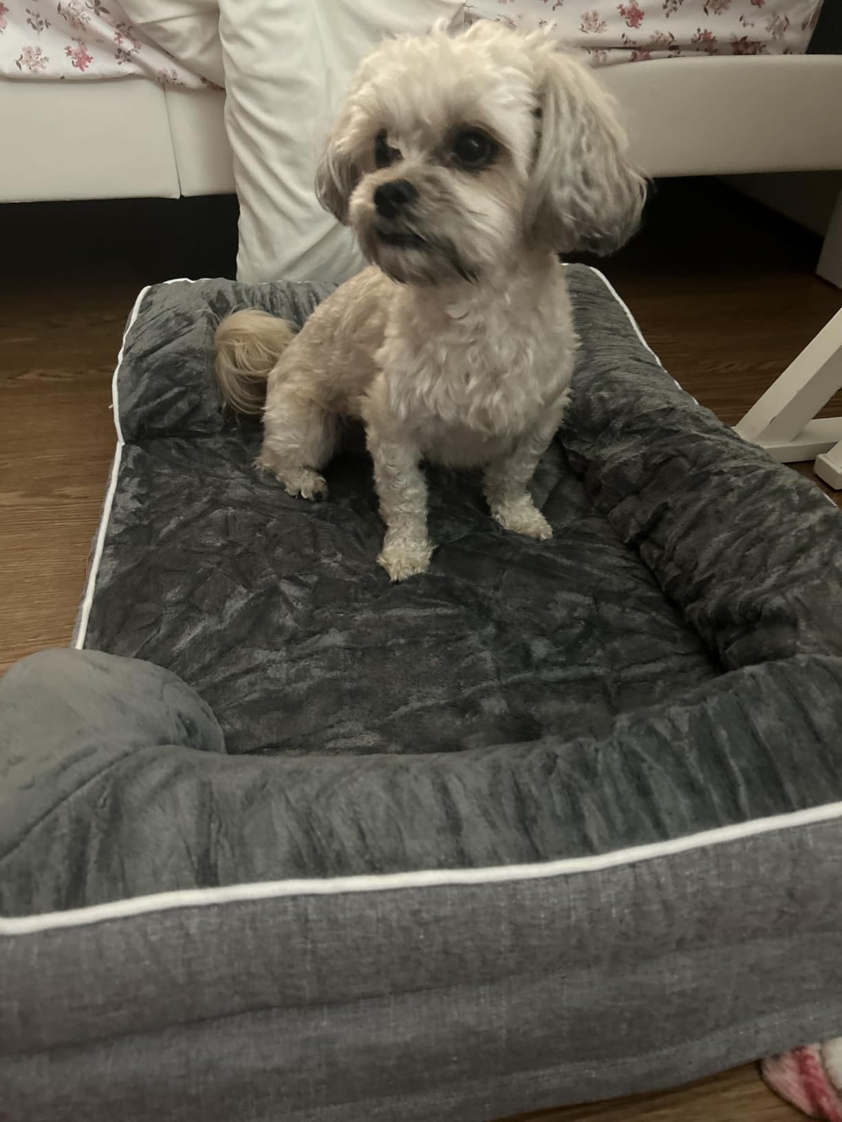 EHEYCIGA Orthopedic Dog Beds for Large Dogs, Waterproof Memory Foam Large Dog Bed with Sides, Non-Slip Bottom and Egg-Crate Foam Pet Couch Bed with Washable Removable Cover, Grey customer photo 2