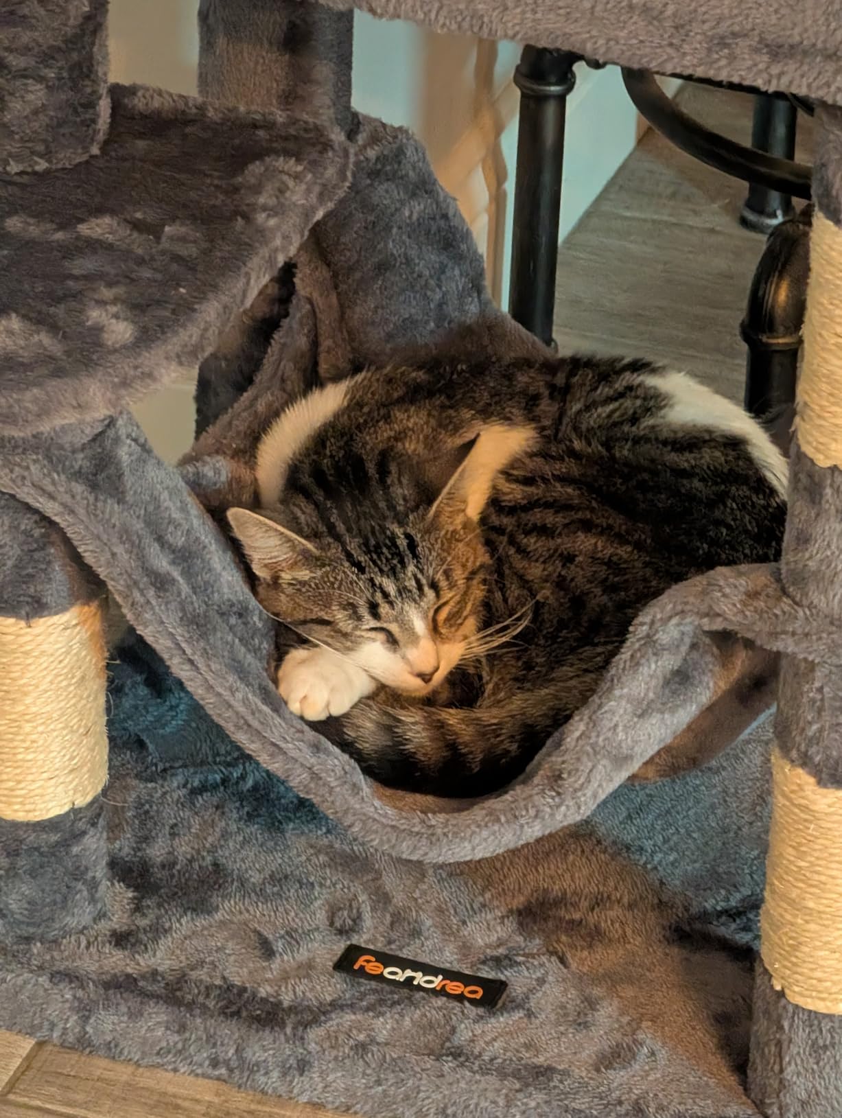 Feandrea Cat Tree, 59.5-Inch Tall Cat Tower, Plush Multi-Level Condo with 5 Scratching Posts, 2 Perches, 2 Caves, Hammock, 2 Pompoms, Light Gray UPCT192W01 customer photo 2