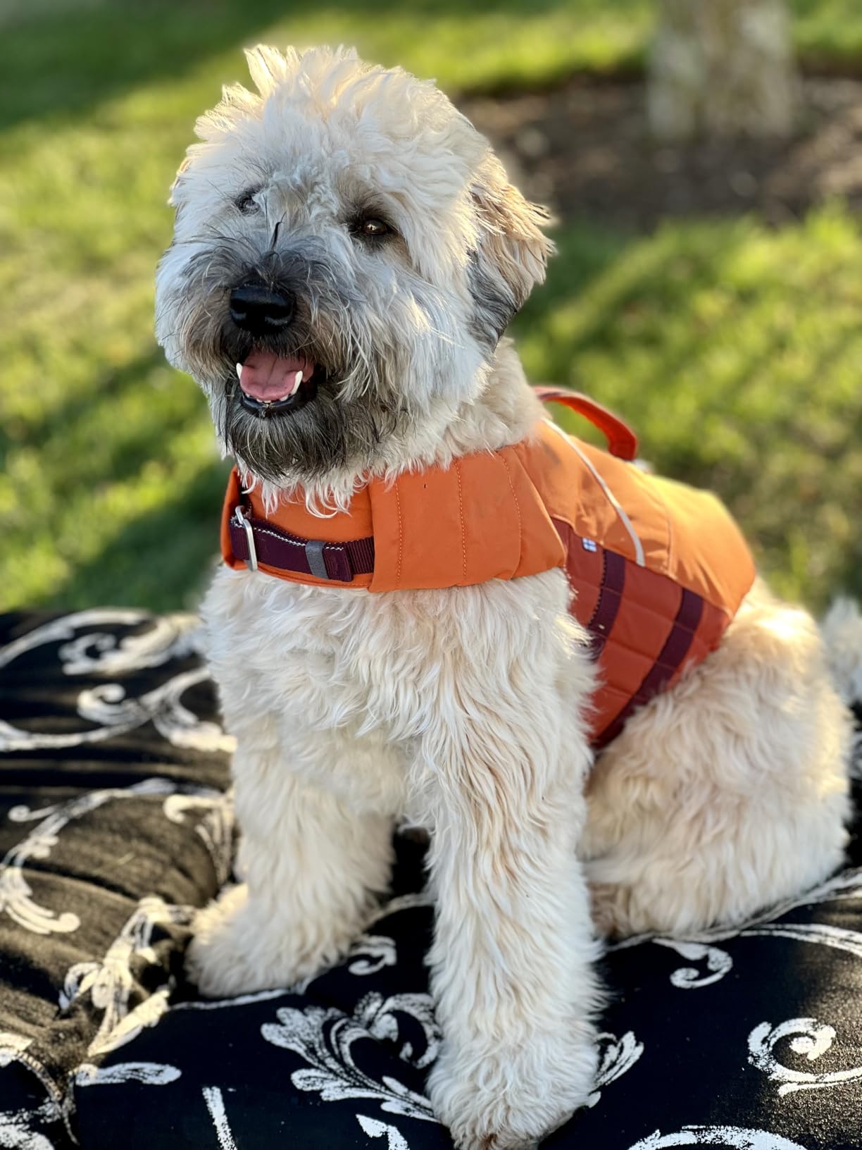Hurtta ECO Life Savior, Dog Life Jacket, Buckthorn, 10-20 lb customer photo 1