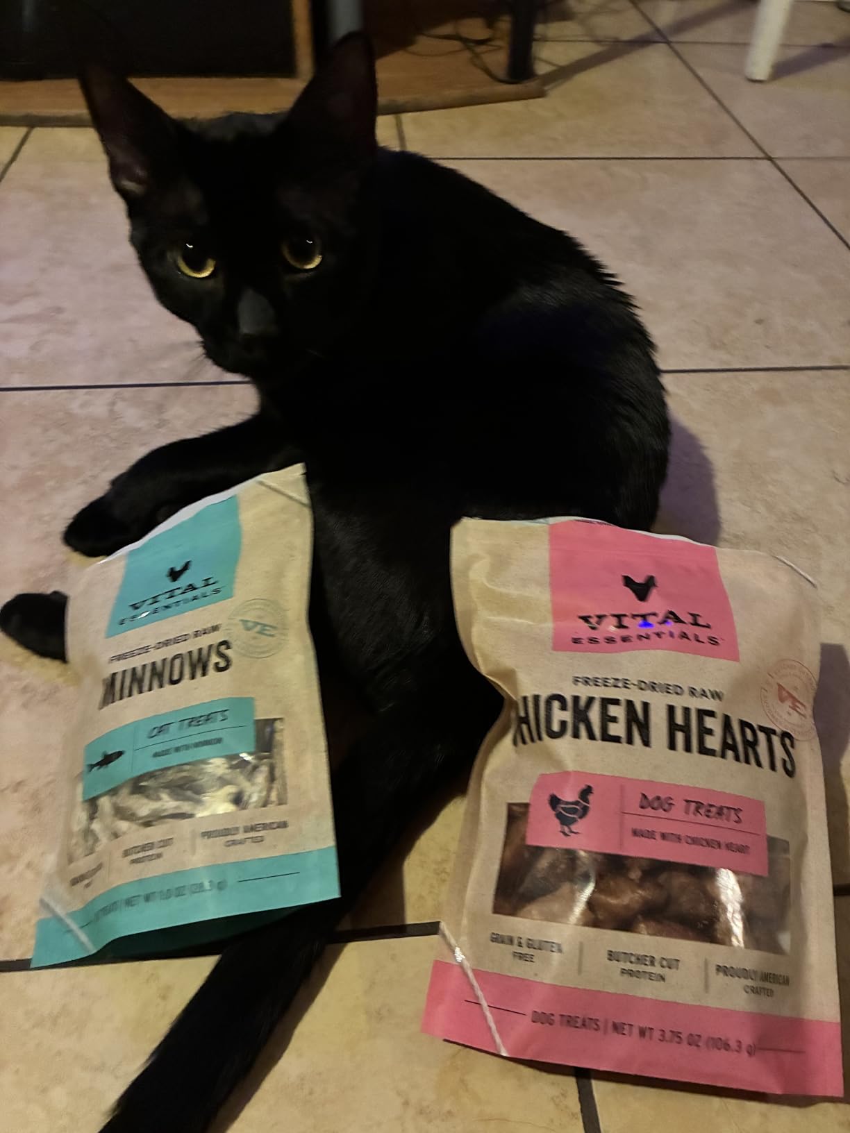 Vital Essentials Freeze Dried Raw Chicken Hearts Dog Treats | Single Ingredient | Premium Quality | Grain Free Treats for Dogs, 1.9 oz Bag customer photo 1