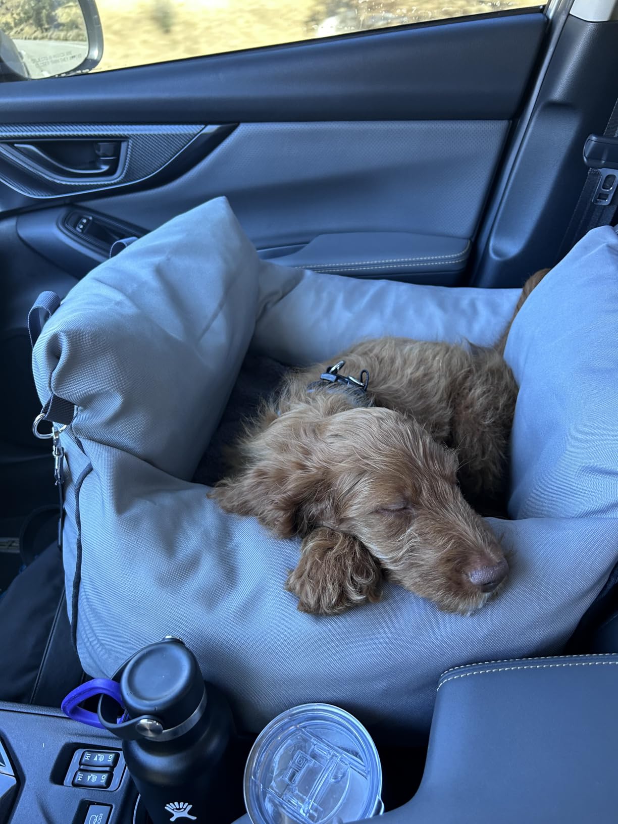 Lesure Small Dog Car Seat for Small Dogs - Dog Booster Seat for Car with Waterproof Bottom, Clip-On Safety Leash and Thickened Memory Foam Filling, Pet Carseat Puppy Travel Carrier Bed, Beige customer photo 2