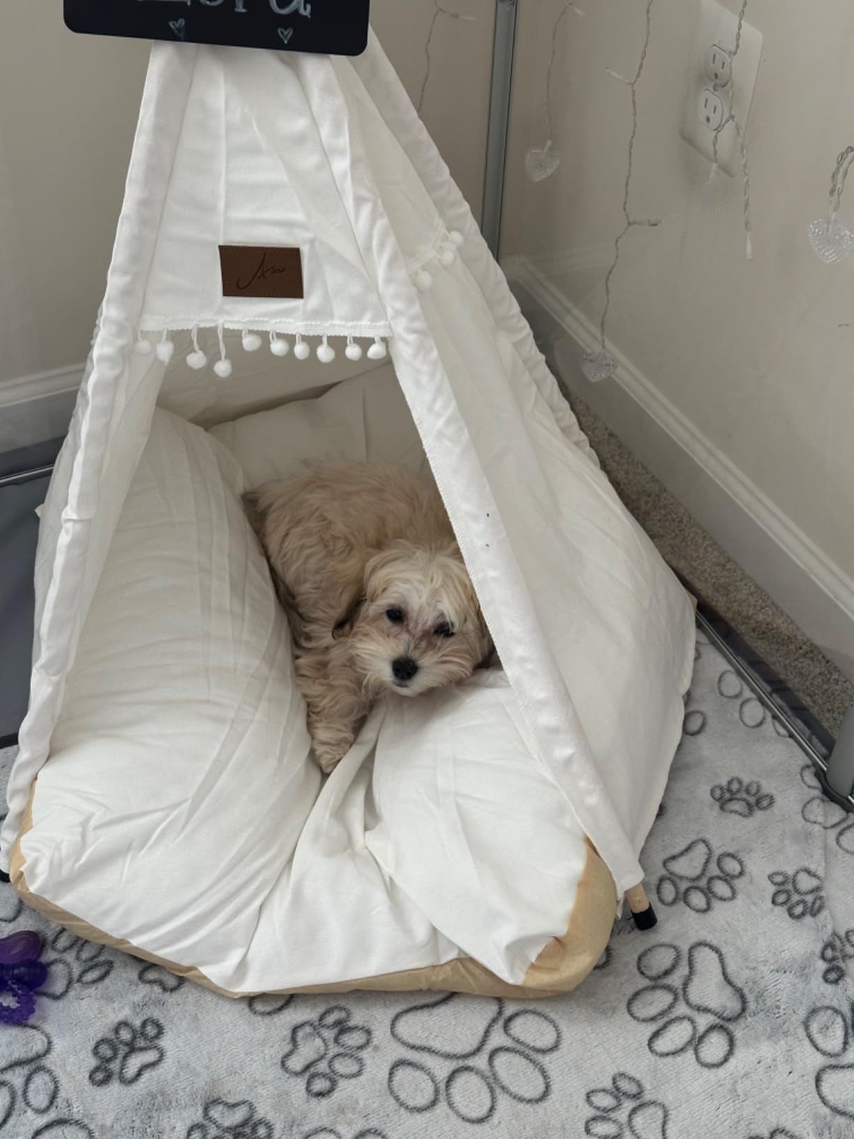 Asou Dog Teepee Pet Tent Portable Dog Houses Puppy Teepee Cat Bed with Thick Cushion customer photo 2