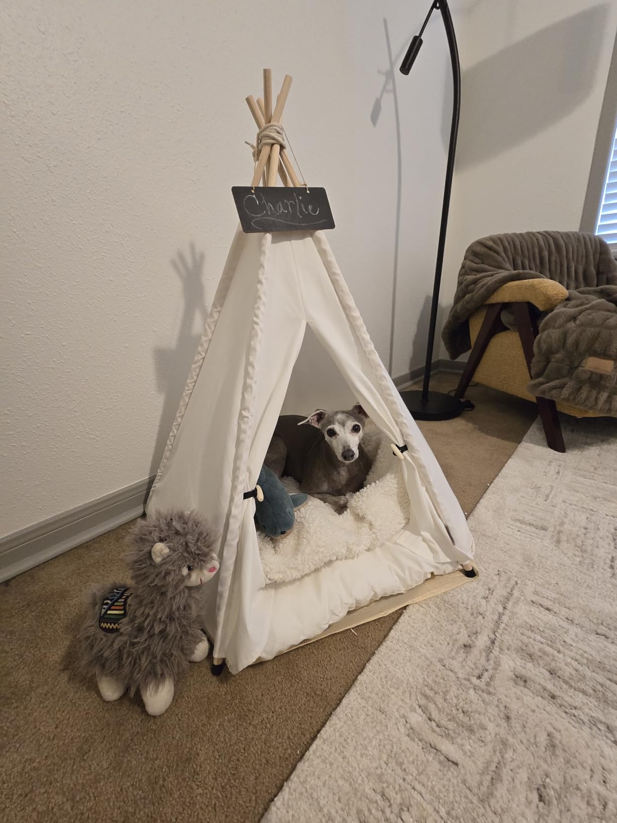 Dog Teepee Bed Cat Tent Portable Houses Pet Puppy with Thick Cushion (M:Size fits 9kg/20lbs (Pets)) customer photo 1