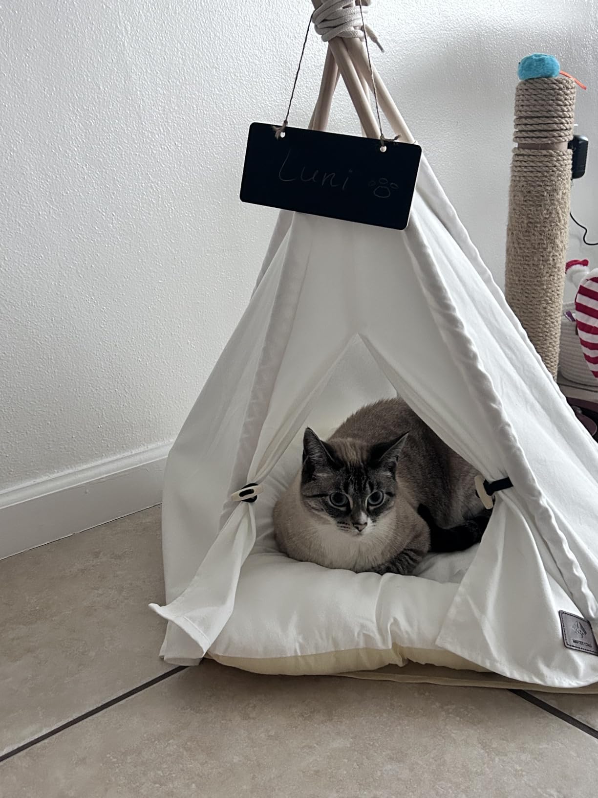 Dog Teepee Bed Cat Tent Portable Houses Pet Puppy with Thick Cushion (M:Size fits 9kg/20lbs (Pets)) customer photo 2
