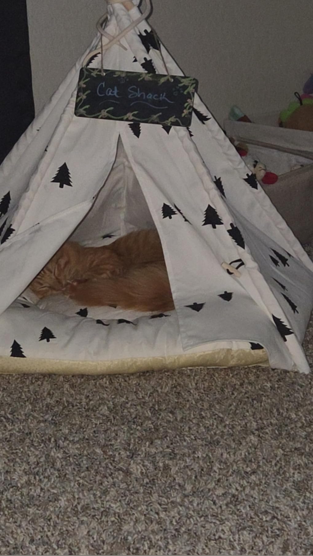 Luxury Pet Teepee Tent for Dogs, Cats & Rabbits Washable Pet House with Removable Cushion & Interactive Blackboard for Puppy Indoor Dog Cat Bed customer photo 1