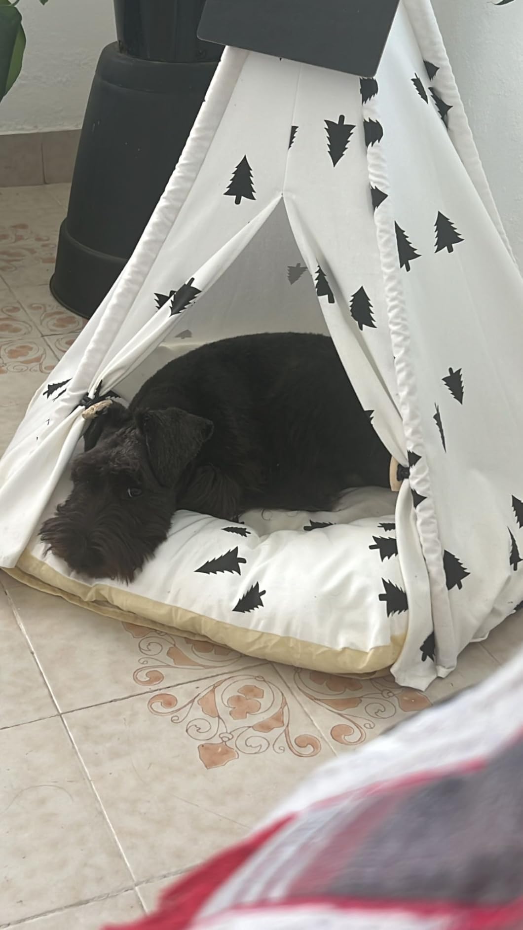 Luxury Pet Teepee Tent for Dogs, Cats & Rabbits Washable Pet House with Removable Cushion & Interactive Blackboard for Puppy Indoor Dog Cat Bed customer photo 2