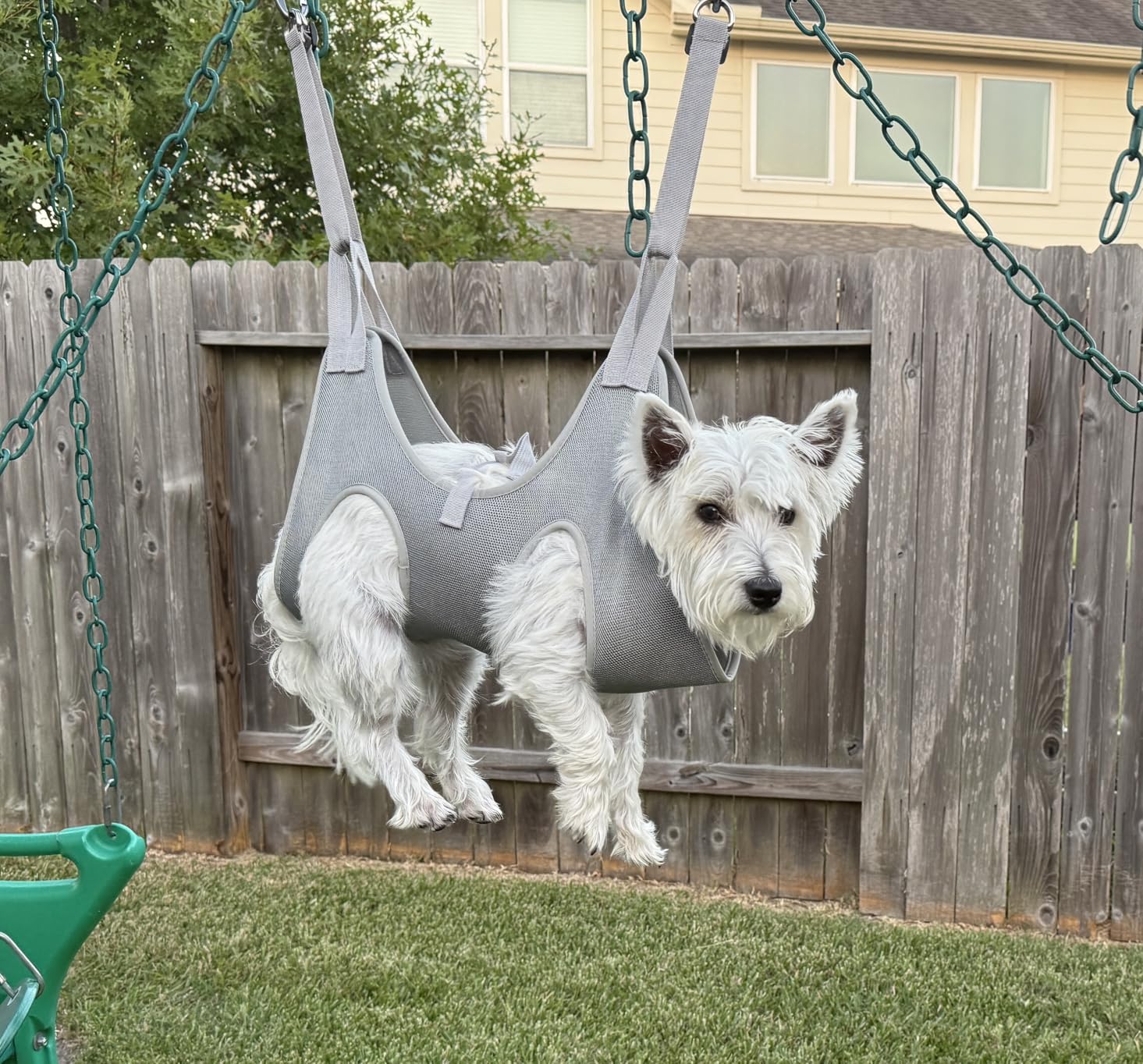Loflaze Dog Grooming Hammock Harness for Dogs & Cats with Pet Nail Clipper Trimmer - Cat Hanger Sling for Trimming Clipping Nails- Dog Hammock Restraint Bag for Small Medium Large pet (Grey S) customer photo 2
