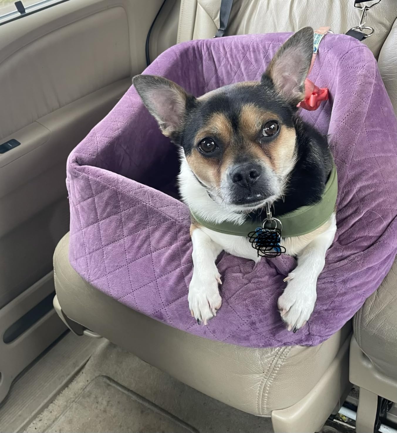 NEEZUKAR Dog Car Seat for Small Dogs, Detachable Washable Dog Booster Seat Under 30lbs, Pet Car Seat Travel Bed with Storage Pockets and Dog Safety Belt (Black/Grey) customer photo 2