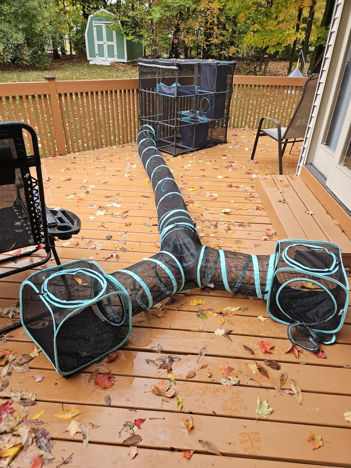 Kitty City Outdoor Catio Furniture and Play Kits for Cats, 10' Tunnel/Medium customer photo 1