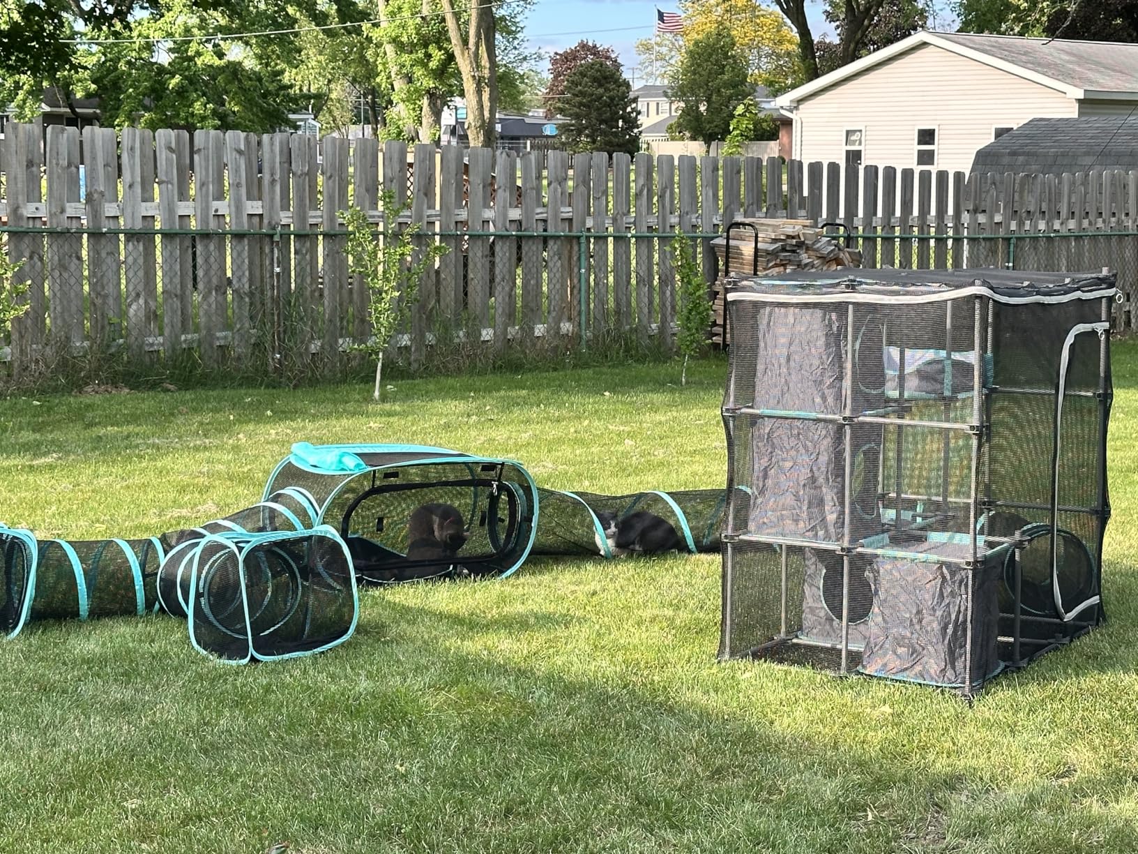 Kitty City Outdoor Catio Furniture and Play Kits for Cats, 10' Tunnel/Medium customer photo 2