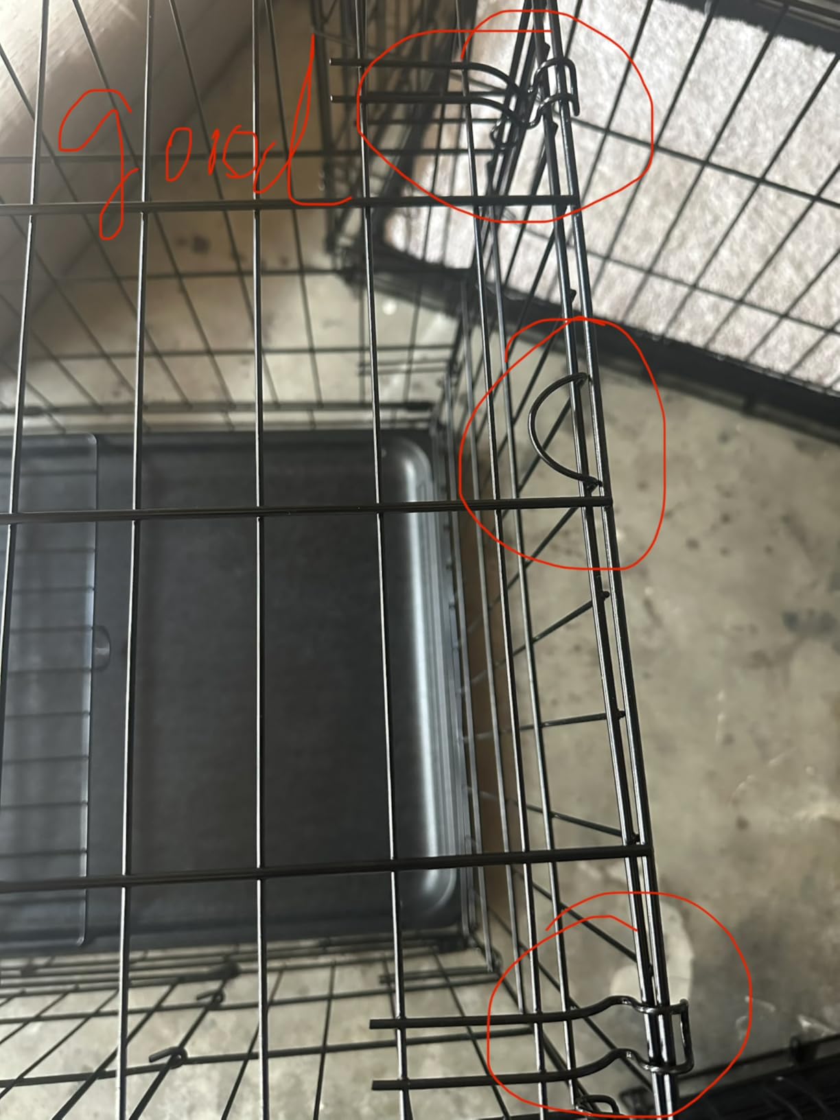FDW 24-Inch Dog Crate for Small Dogs, Double Door Folding Metal Wire Pet Kennel with Divider Panel & Leak-Proof Plastic Tray, Black customer photo 1