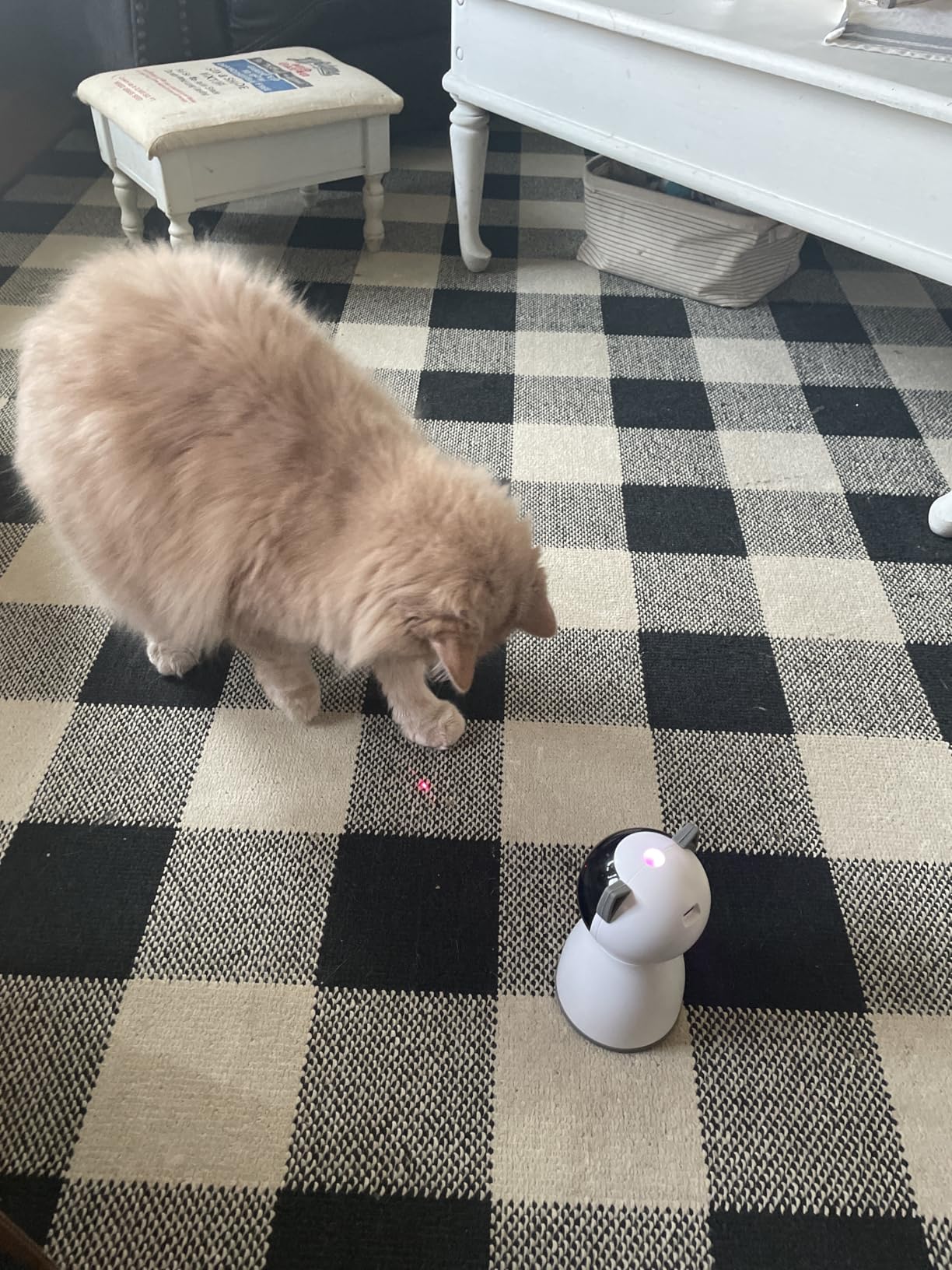YVE LIFE Cat Toys Laser for Indoor Cats, The 4th Generation Real Random Trajectory Motion Activated Rechargeable Automatic Cat Laser Toy, Interactive Cat Toys for Bored Indoor Cats/Kittens customer photo 1