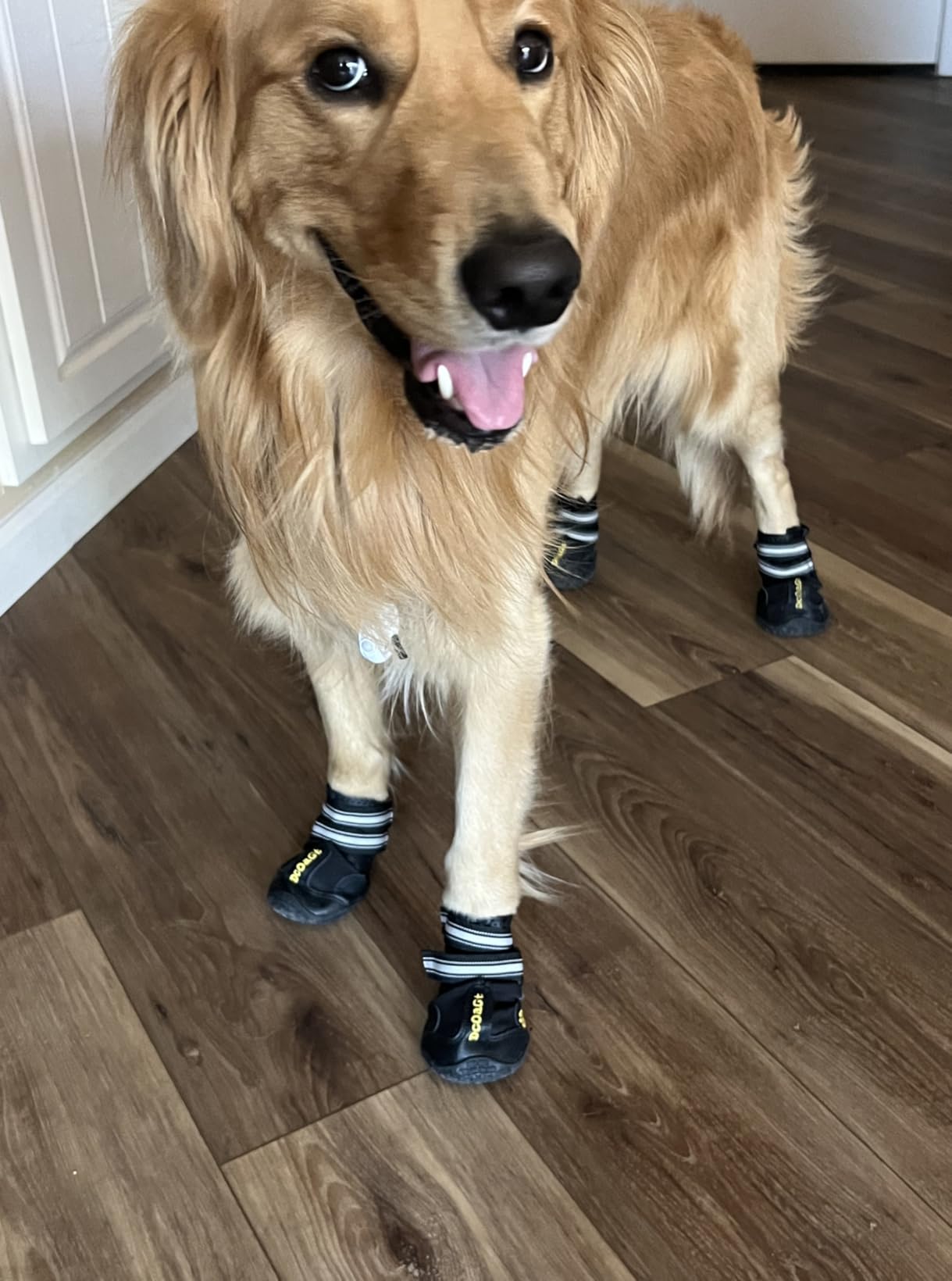 DcOaGt Dog Shoes for Large Dogs XXL - Waterproof Dog Boots with Anti-Slip Sole, Breathable Reflective Paw Protectors for Hot Pavement, Summer, Winter Snow, Hiking customer photo 2