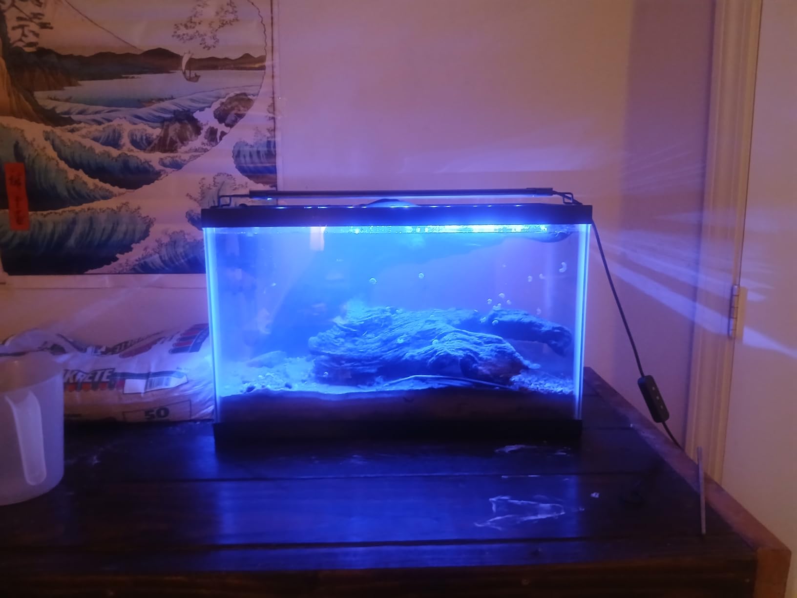 Pawfly 11W Aquarium LED Light for 12-18 Inch Fish Tanks, Full Spectrum with Daytime & Night Modes and Adjustable Brightness customer photo 1