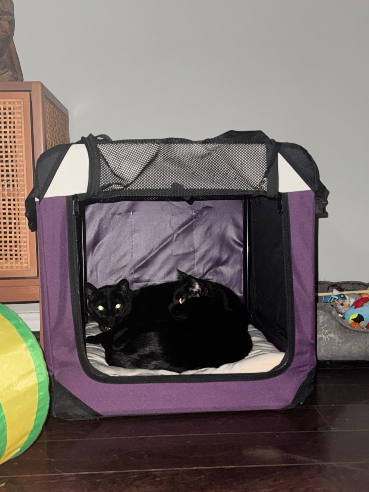 Large Cat Carrier Collapsible Travel Dog Crate Portable Soft-Sided Pet Kennel with Super Soft Warm Plush Pillow for Indoor and Outdoor 20x14x14in, Sky Blue customer photo 2