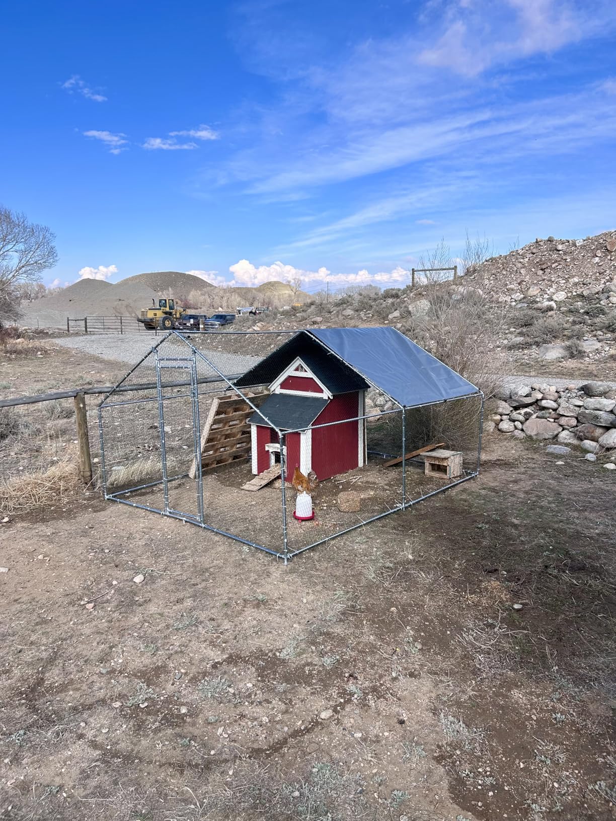 HITTITE Large Metal Chicken Coop with Run, 12.8 x 9.84 x 6.56 ft Walk in Poultry Cage Chicken Run Pen, Outdoor Chicken Runs for Yard with Waterproof & Anti-UV Cover customer photo 2