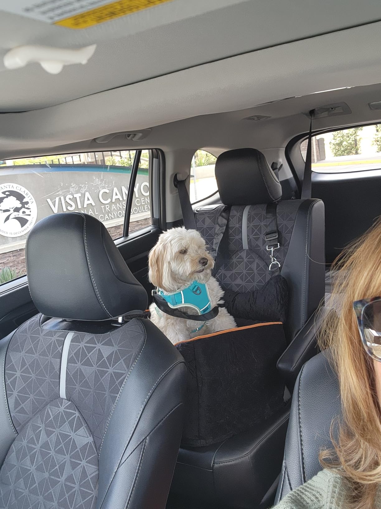 Dog Car Seat - Memory Foam Dog Booster Seat for Small Dogs Up to 25lbs - Elevated Pet Car Seat with Storage Pockets and Dog Seat Belt - Soft Pet Travel Bed for Front & Back Seats - Removable Washable - Grey customer photo 1