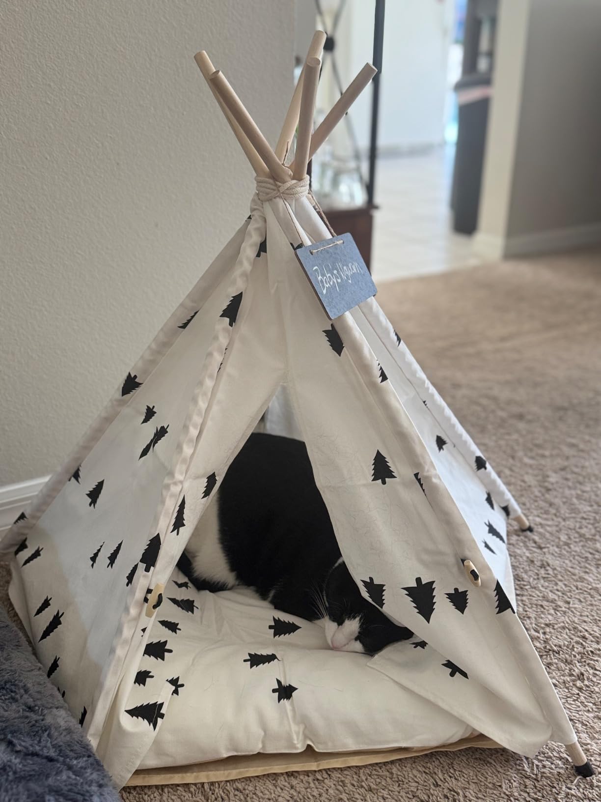 Pet Teepee Tent for Dogs & Cats, 24 Inch & 43 Inch Portable Indoor Dog House with Thick Cushion, Cat Teepee Washable Tent Dog Teepee Bed Indoor (43 Inch, Navy Blue Stars) customer photo 2