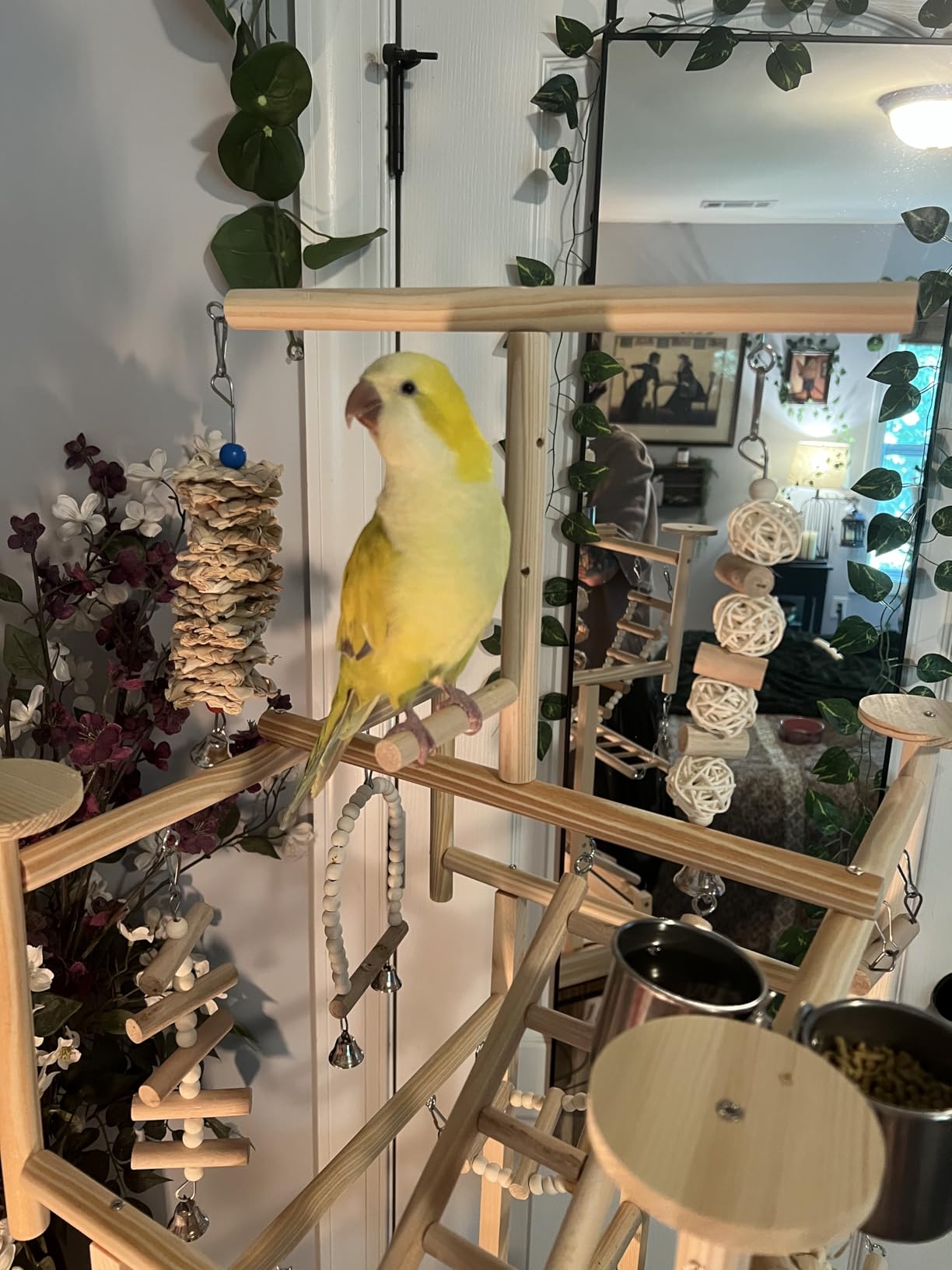LIMIO Bird Playground - Natural Wood Parrot Playstand with Perches, Bird Play Gym & Accessories, Removable Tray & 4 Stainless Steel Cups customer photo 1