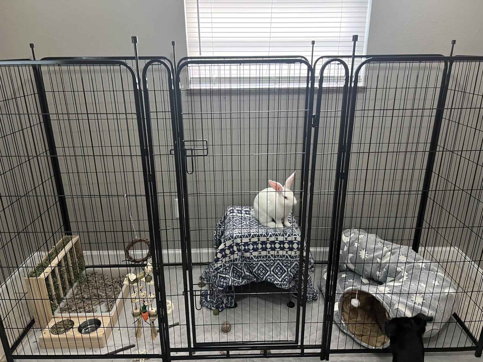 ADAVIN Tall Garden Fence with Gate, 48 in(H) 8 Panels Heavy Duty Iron Metal Animal Barrier Fence, Indoor Dog Playpen, Temporary Fencing, Dog Fence Outdoor for Yard, Total 17.7 Ft(L), Black customer photo 2