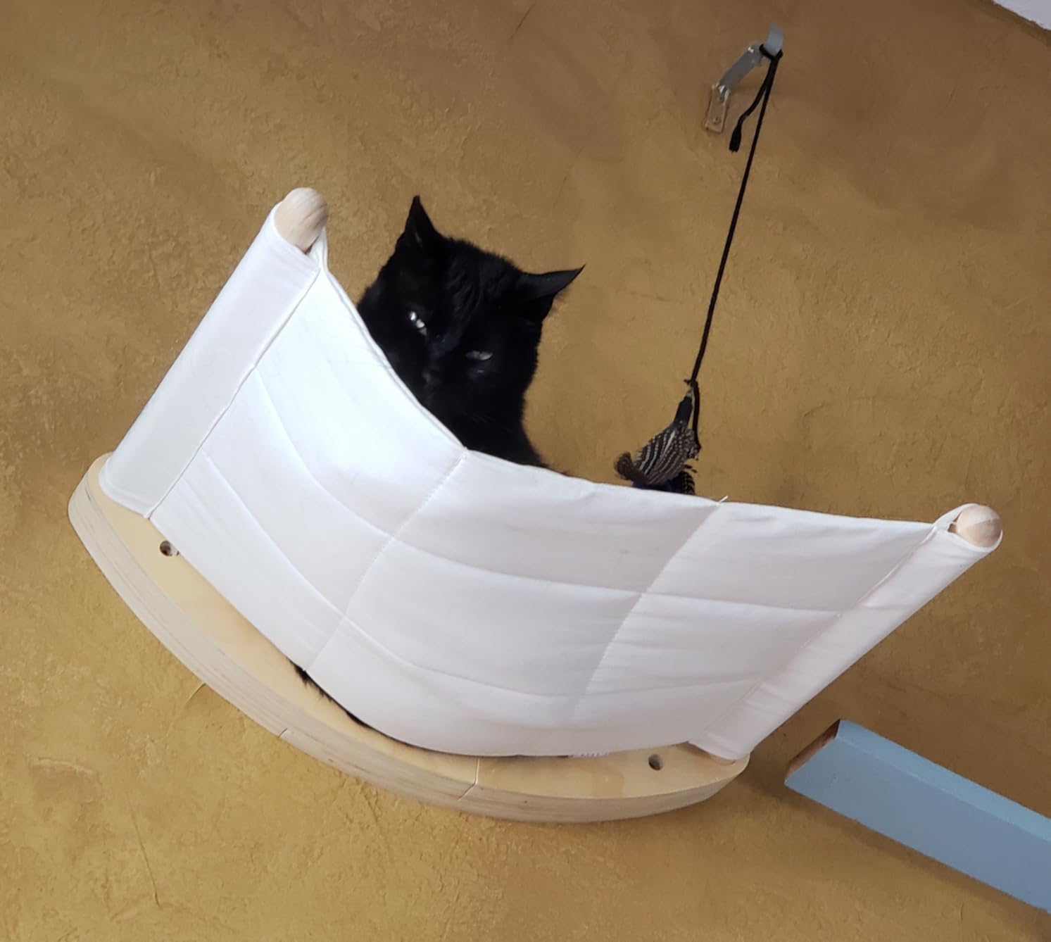 7 Ruby Road Cat Wall Hammock - Wall Mounted Cat Bed for Large Cats - Wood Perch Shelf, Cat Hammock for Wall, Holds Up to 35 lbs customer photo 2