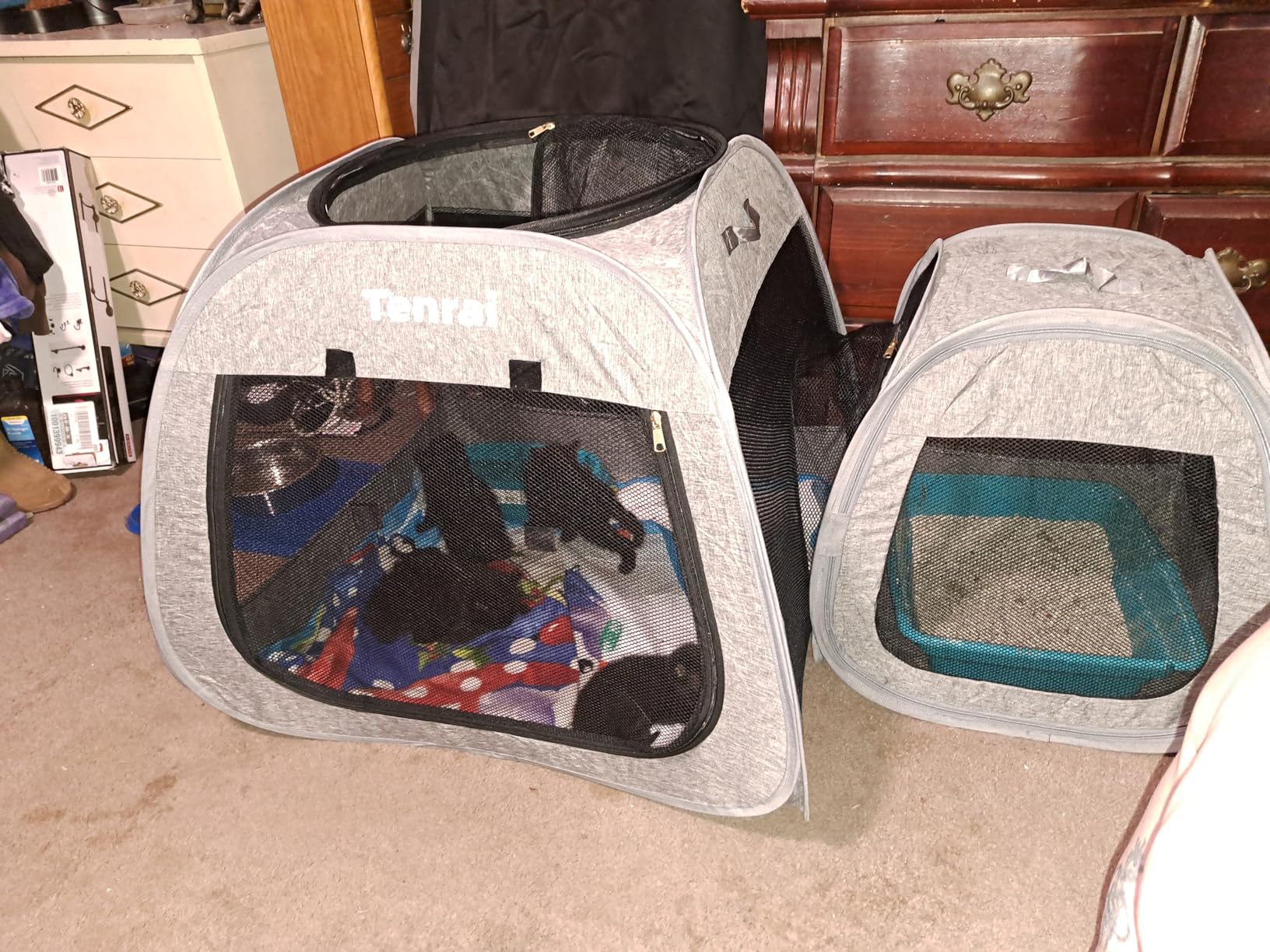 Tenrai Portable Cat Playpen, Trapezoidal Design for Better Standing, Foldable Pet Tent for Indoor and Outdoor Use of Kitten and Puppy, Dog Play Enclosure, Cat Houses & Condos customer photo 2