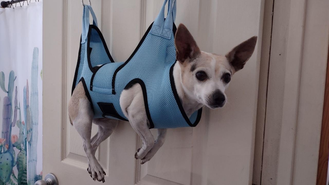 PatiencET Dog Grooming Hammock for Small Dogs Pet Hammock for Nail Trimming Dog Sling for Nail Clipping Dog Hanging Harness (Black S) customer photo 1