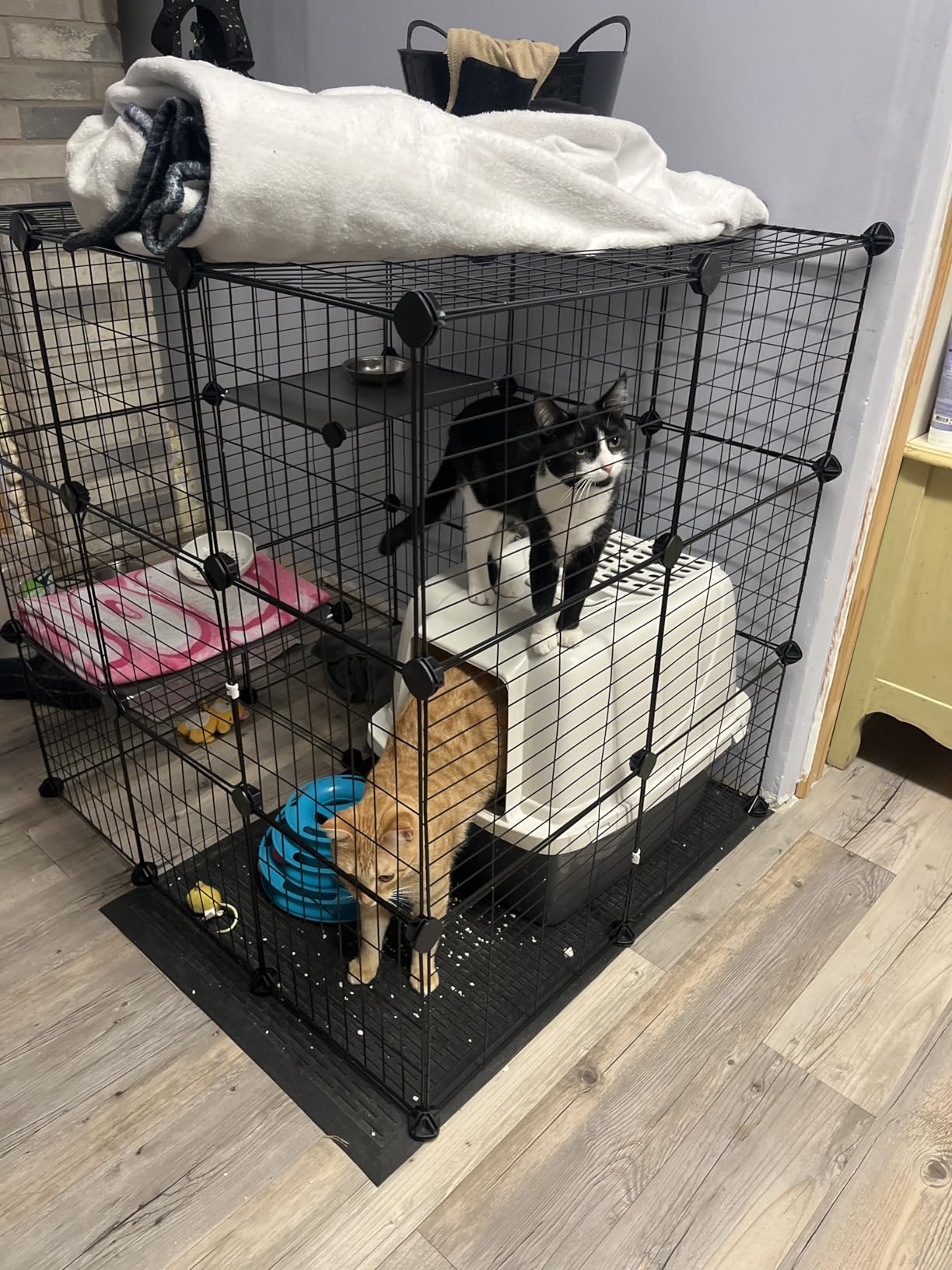 Oneluck 3-Tier Cat Cages Indoor Enclosure DIY Cat Playpen Catio Detachable Metal Wire Kennels Cats Crate Large Extra Exercise Place Ideal for 1 Cat, 35.4 Inches customer photo 2