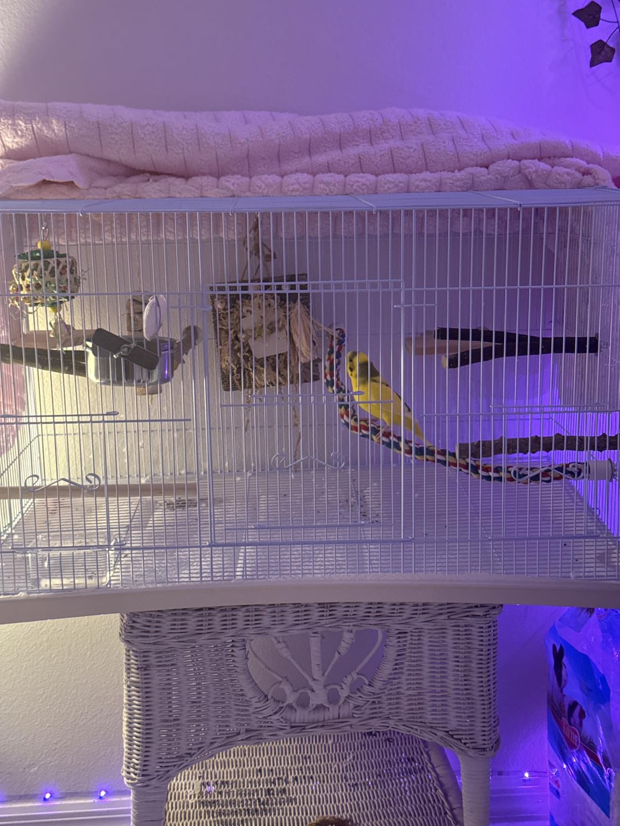 VEVOR 30 Inch Flight Bird Cage, Stackable Bird Cage Parakeet Cage with Slide-Out Tray and Handle, Small Parrots Birdcage for Cockatiels Budgies Conure Macaw Finch Lovebirds Canaries Pigeons customer photo 1