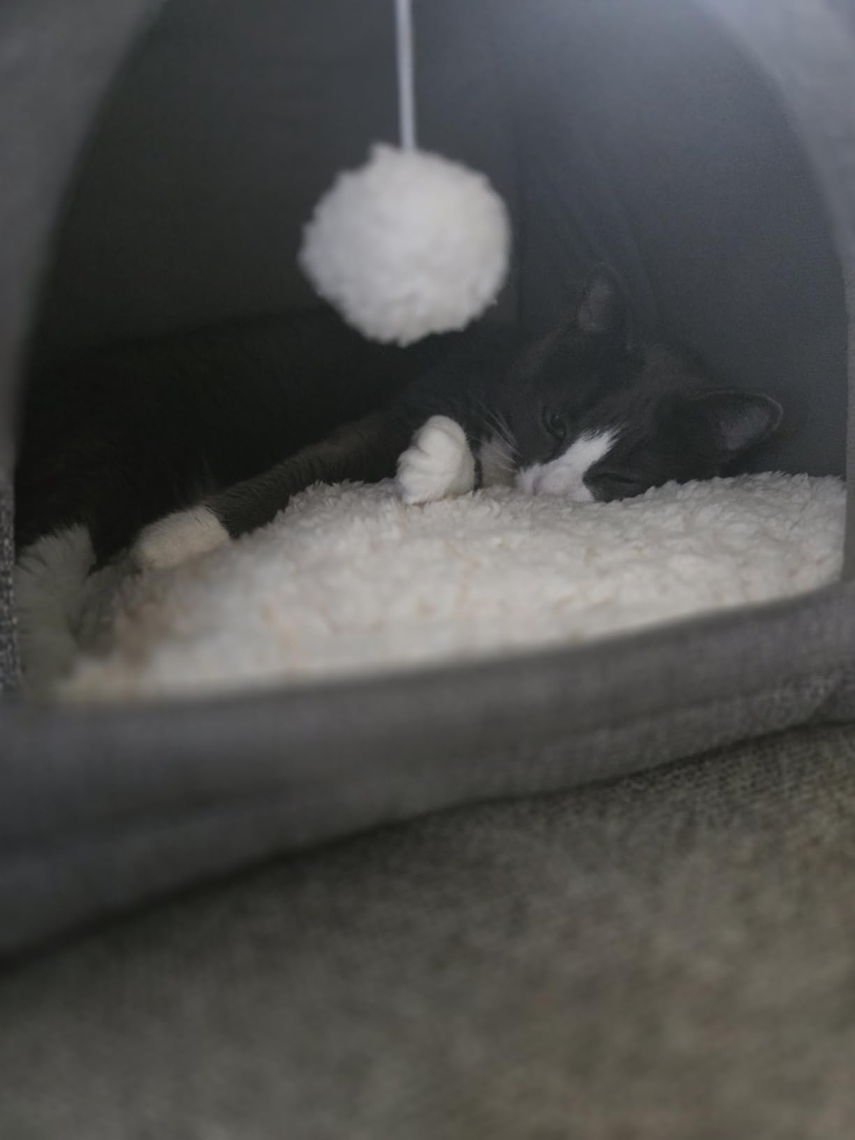 Bedsure Cat Beds for Indoor Cats - 2 in 1 Cat Cave House Tent for Kittens and Small Pets with Removable Washable Cushioned Pillow, Foldable Kitten Hideaway with Non-Slip Bottom, Grey, 16 inches customer photo 1