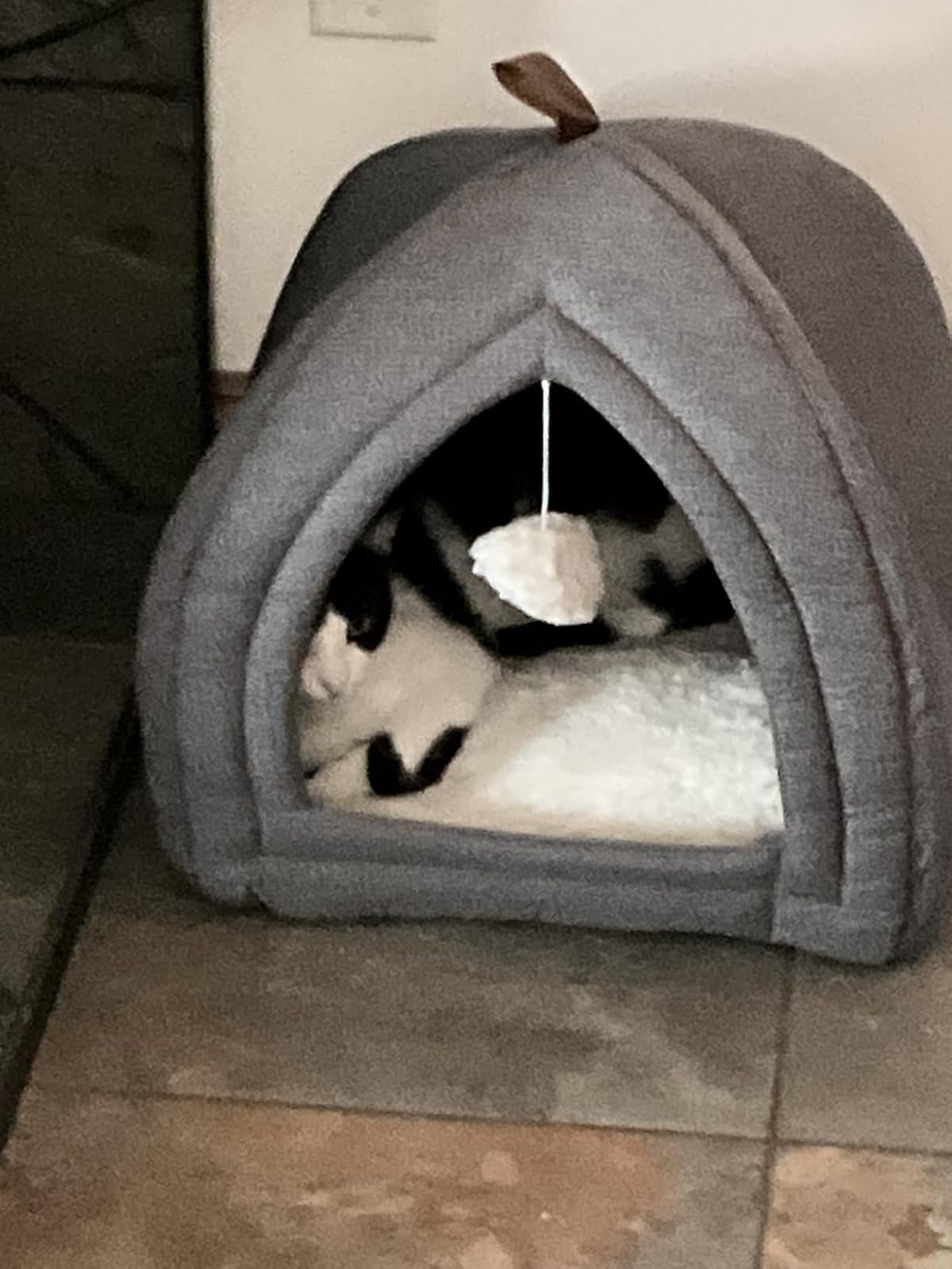 Bedsure Cat Beds for Indoor Cats - 2 in 1 Cat Cave House Tent for Kittens and Small Pets with Removable Washable Cushioned Pillow, Foldable Kitten Hideaway with Non-Slip Bottom, Grey, 16 inches customer photo 2