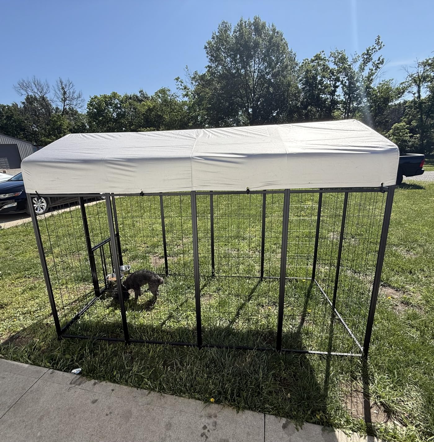 ROOMTEC Large Dog Kennel Outdoor Pet Pens Dogs Run Enclosure Animal Hutch Metal Coop Fence with Roof Cover (4'L x 4'W x 4.25'H) customer photo 2