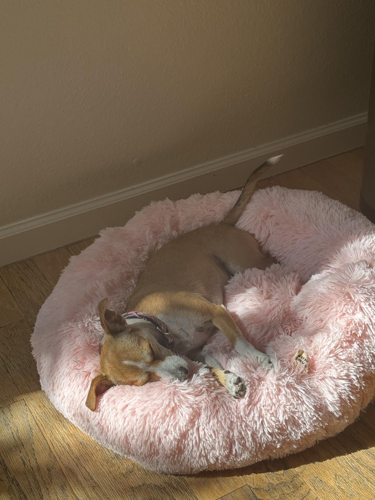 Best Pet Supplies Round Calming Dog Bed for Small, Medium & Large Dogs, Plush Donut Cuddler Pet Bed w/Raised Rim for Head, Neck Support, Anti-Slip Bottom Washable Bed - Lavender, 20 x 20 x 6 customer photo 1