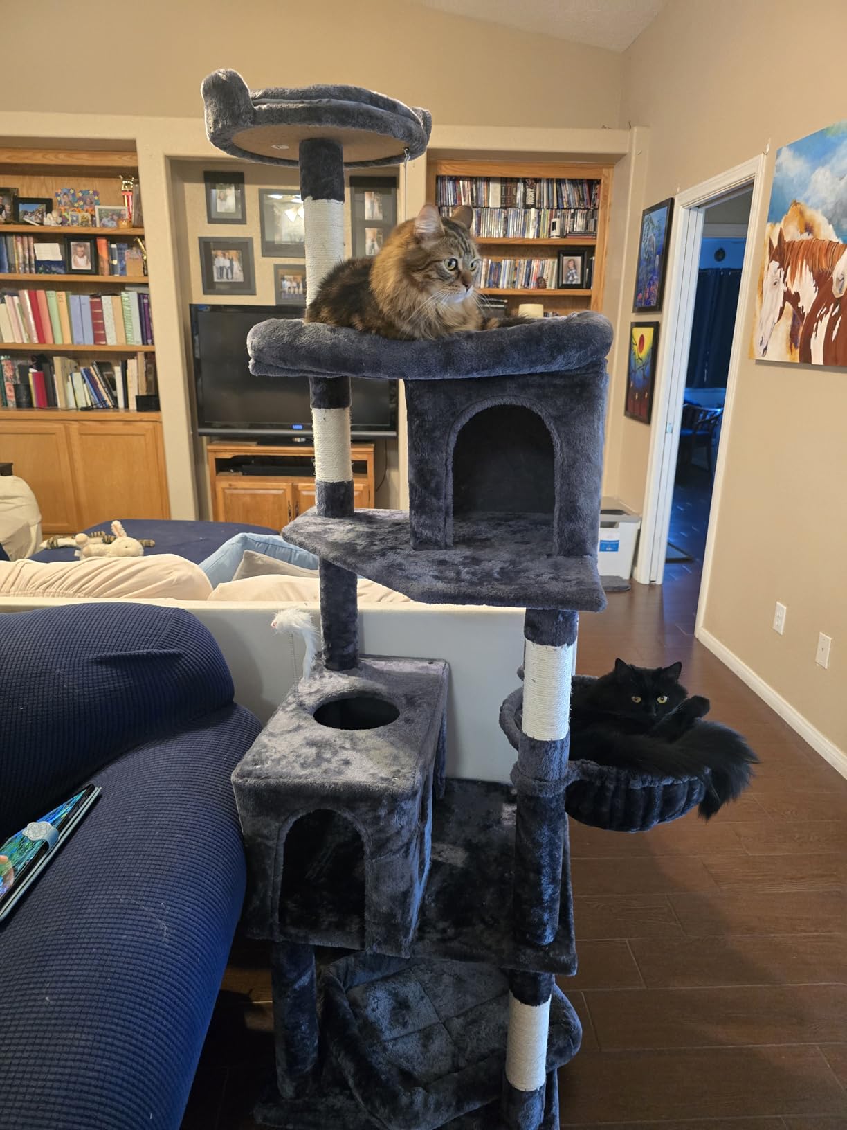 Globlazer Heavy Duty Cat Trees for Large Cats, Sturdy 72in Maine Coon Cat Tree for Large Cats 20 lbs+ Heavy Duty Cat Tower for Adult Biggest Cat with 6 Scratching Posts, Hammock, S72, Dark Gray customer photo 1
