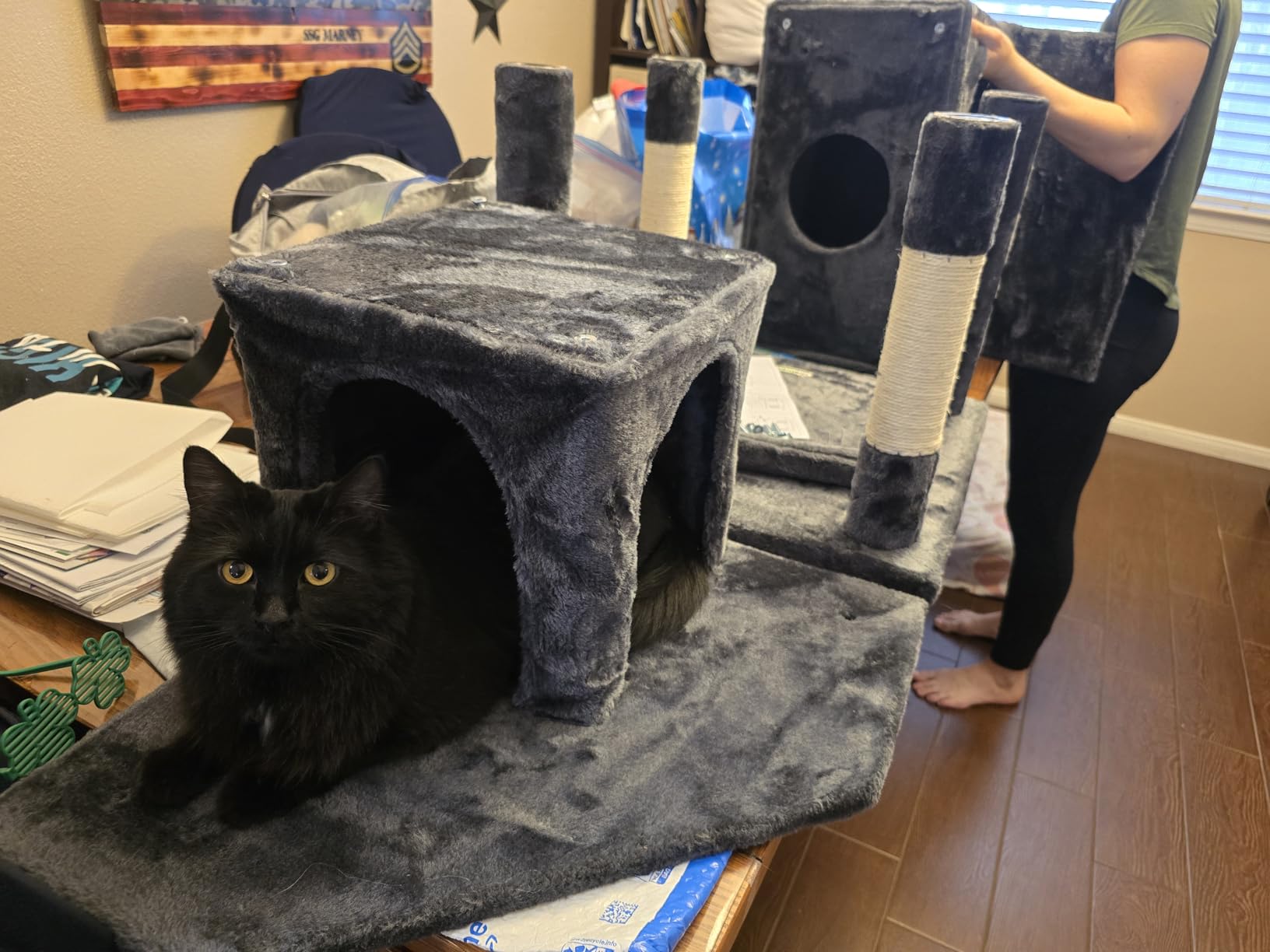 Globlazer Heavy Duty Cat Trees for Large Cats, Sturdy 72in Maine Coon Cat Tree for Large Cats 20 lbs+ Heavy Duty Cat Tower for Adult Biggest Cat with 6 Scratching Posts, Hammock, S72, Dark Gray customer photo 2