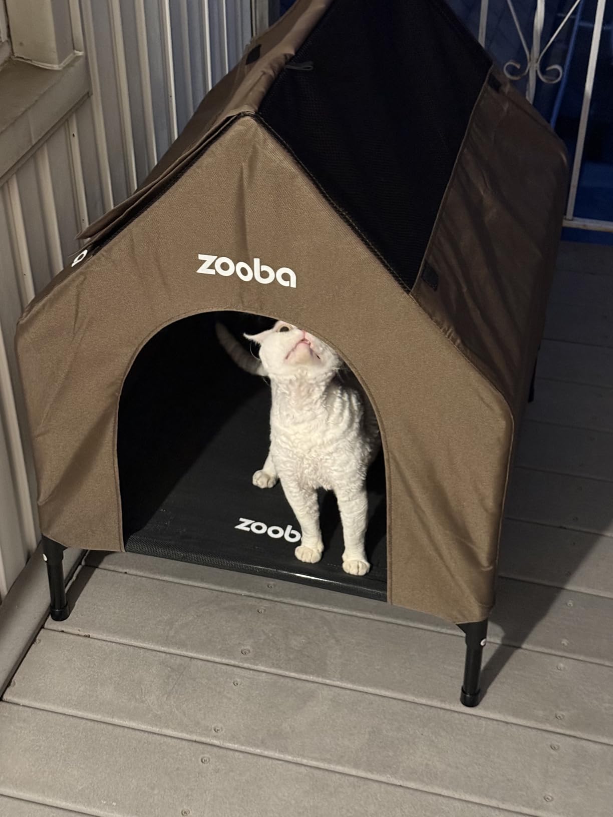 Zooba 48