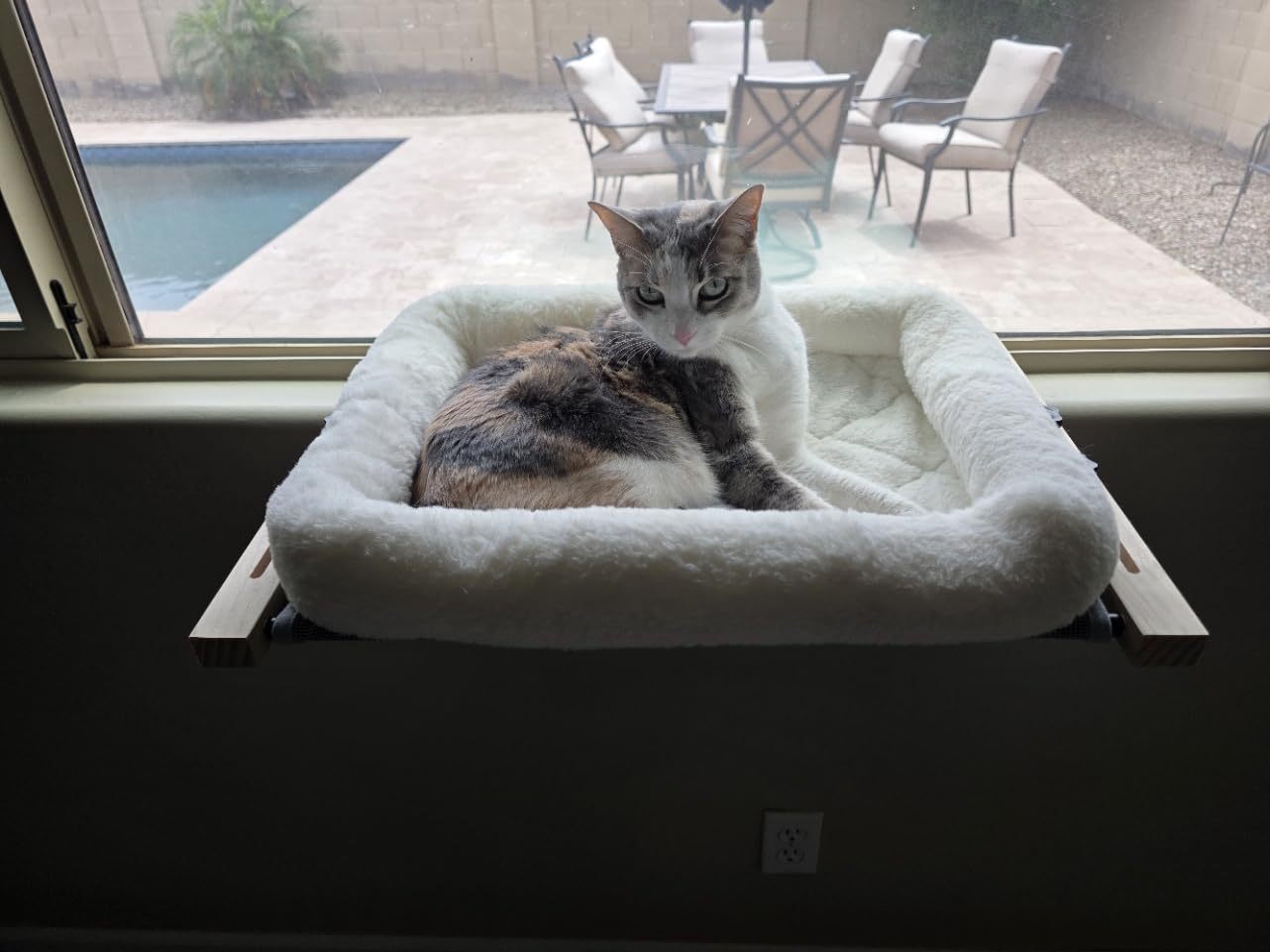 AMOSIJOY Cat Sill Window Perch Sturdy Hammock Window Seat with Cushion Bed Cover, Wood & Metal Frame for Large Cats, Easy to Adjust Cat Bed for Windowsill, Bedside, Drawer and Cabinet customer photo 1