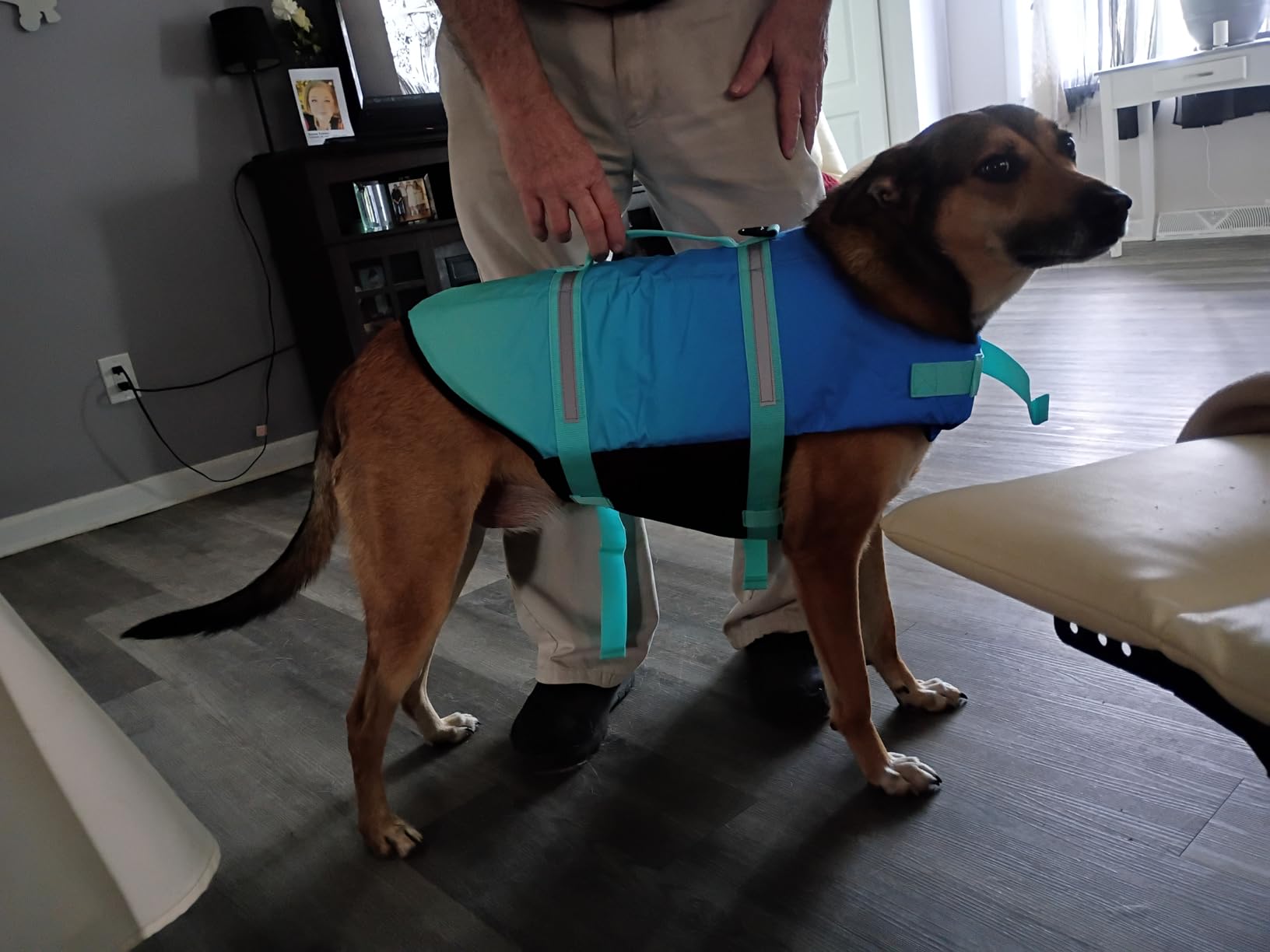 Doglay Dog Life Jacket, Dog Life Vest for Swimming Boating, Adjustable Puppy Life Jacket with Reflective Stripes, Superior Buoyancy Pet Swimming Vest for Small Medium and Large Dogs customer photo 1