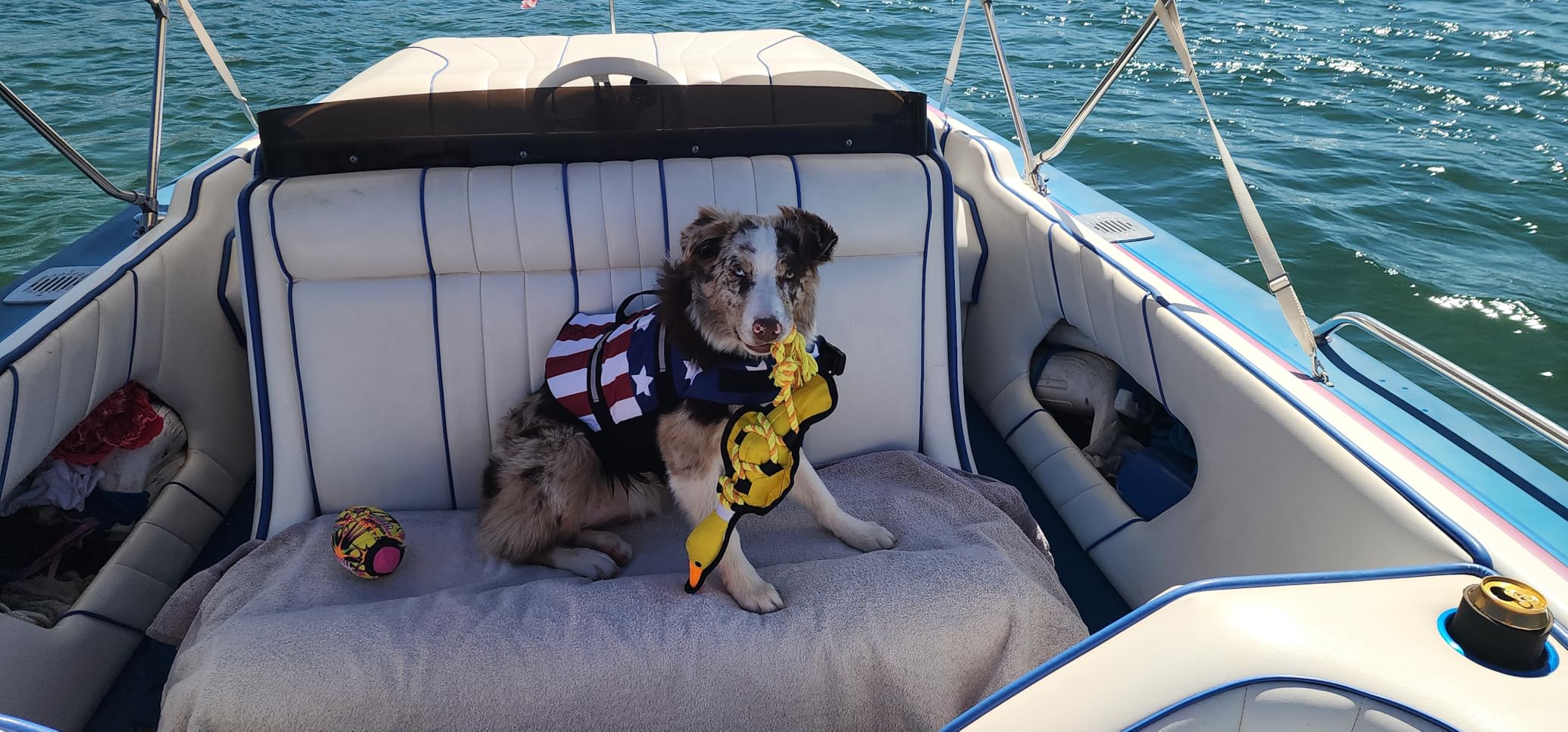 Doglay Dog Life Jacket, Dog Life Vest for Swimming Boating, Adjustable Puppy Life Jacket with Reflective Stripes, Superior Buoyancy Pet Swimming Vest for Small Medium and Large Dogs customer photo 2