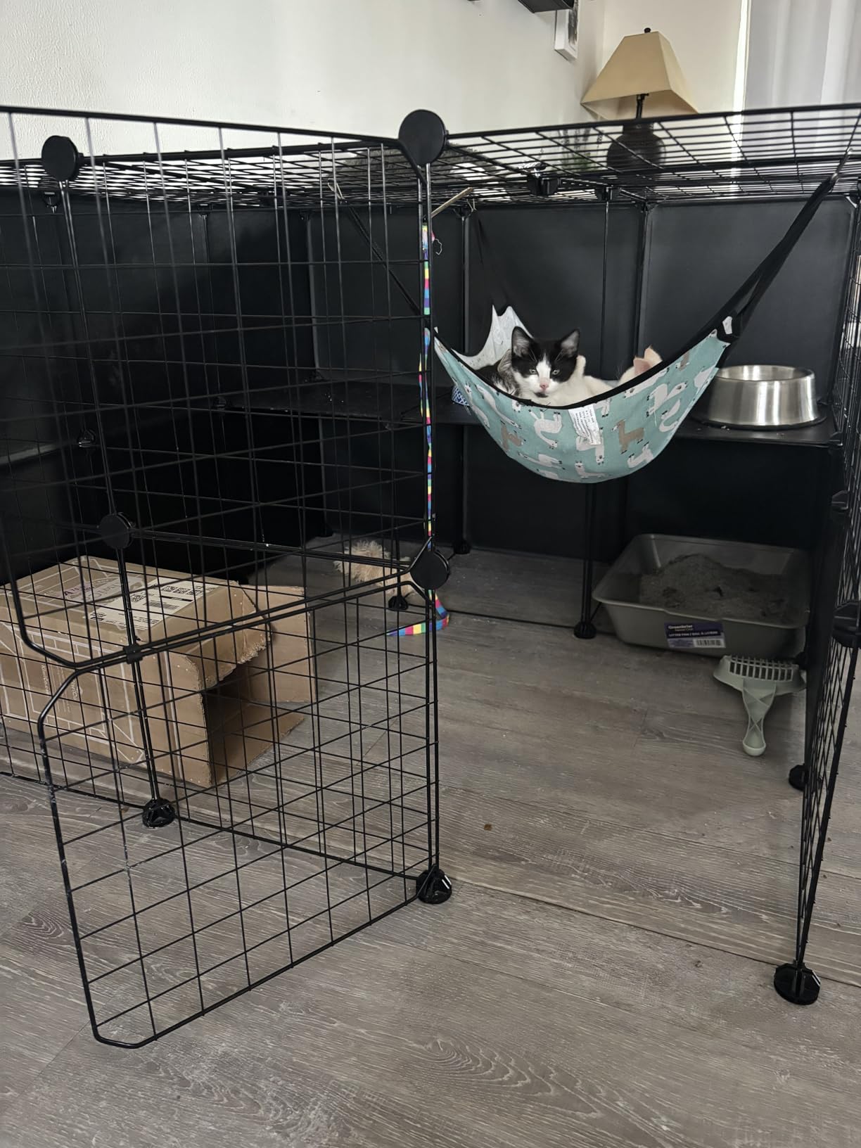PAWING Cat Large Enclosure - DIY Catio Ideal for 1-3 Cats, Indoor & Outdoor, Detachable Metal Wire Kennel, 2x3x4 Exercise Place customer photo 1