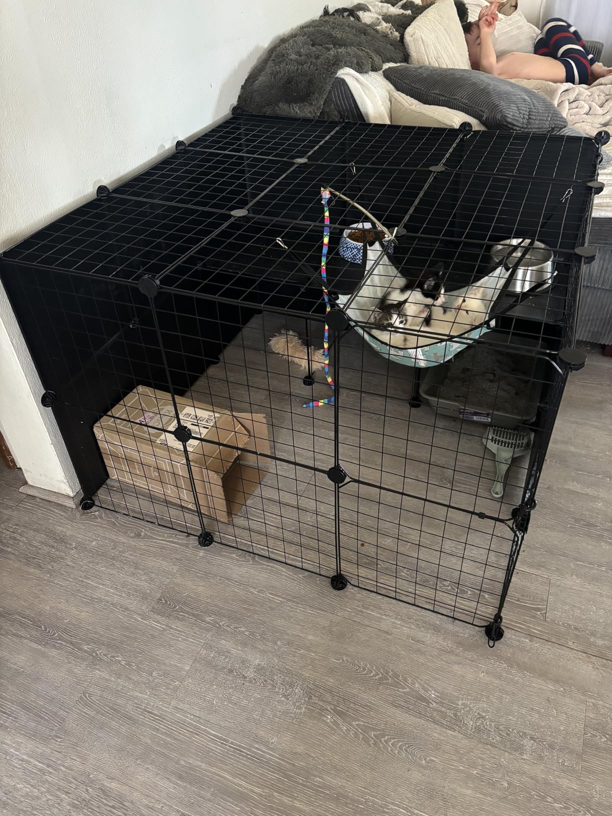 PAWING Cat Large Enclosure - DIY Catio Ideal for 1-3 Cats, Indoor & Outdoor, Detachable Metal Wire Kennel, 2x3x4 Exercise Place customer photo 2