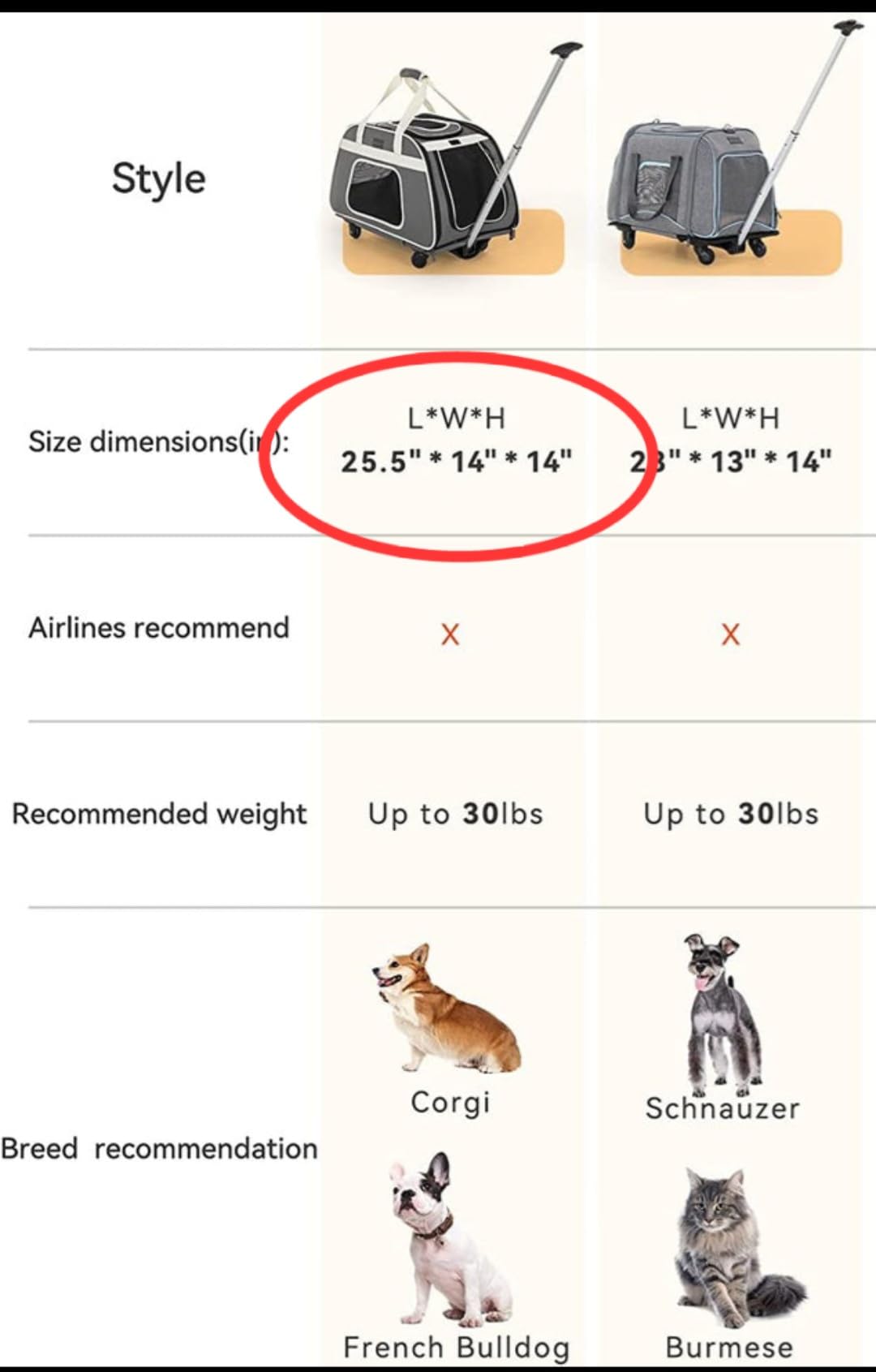 Petsfit Pet Carrier with Wheels, Rolling Cat Carrier for Small Cats, Airline Approved Pet Carrier with Telescopic Handle Perfect for Travelling Under 13lb, Blue customer photo 2
