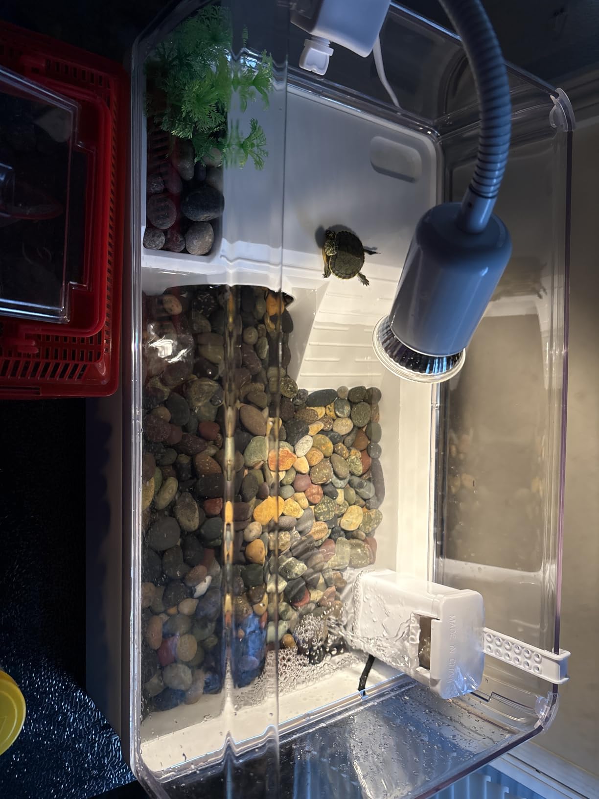 Turtle Tank Acrylic Habitat Kit with Silent Filter & Bottom Drain,UVB Basking Platform Light,Multi-Zone Aquatic Tortoise Enclosure with Hideout,Feeding Area,Plant,Net & Accessories for Baby customer photo 1