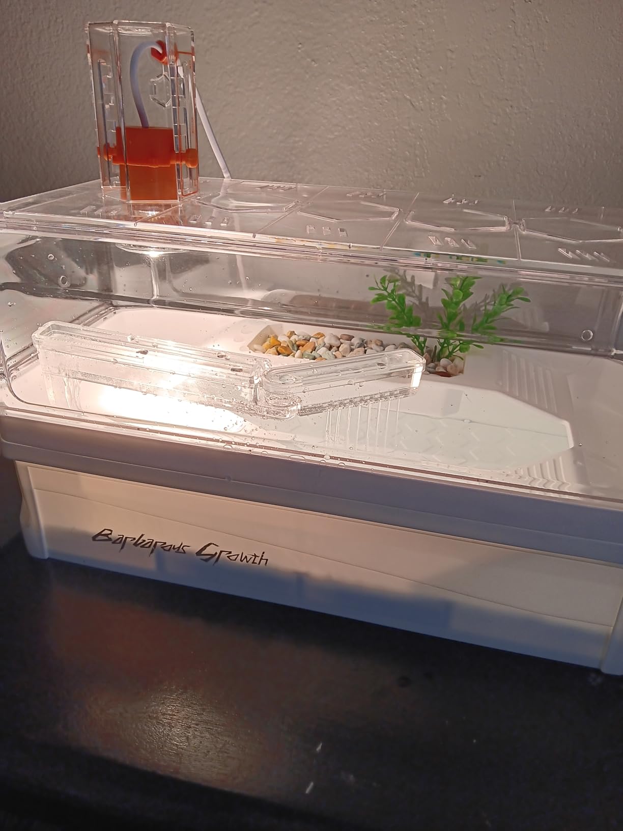 Turtle Tank Acrylic Habitat Kit with Silent Filter & Bottom Drain,UVB Basking Platform Light,Multi-Zone Aquatic Tortoise Enclosure with Hideout,Feeding Area,Plant,Net & Accessories for Baby customer photo 2