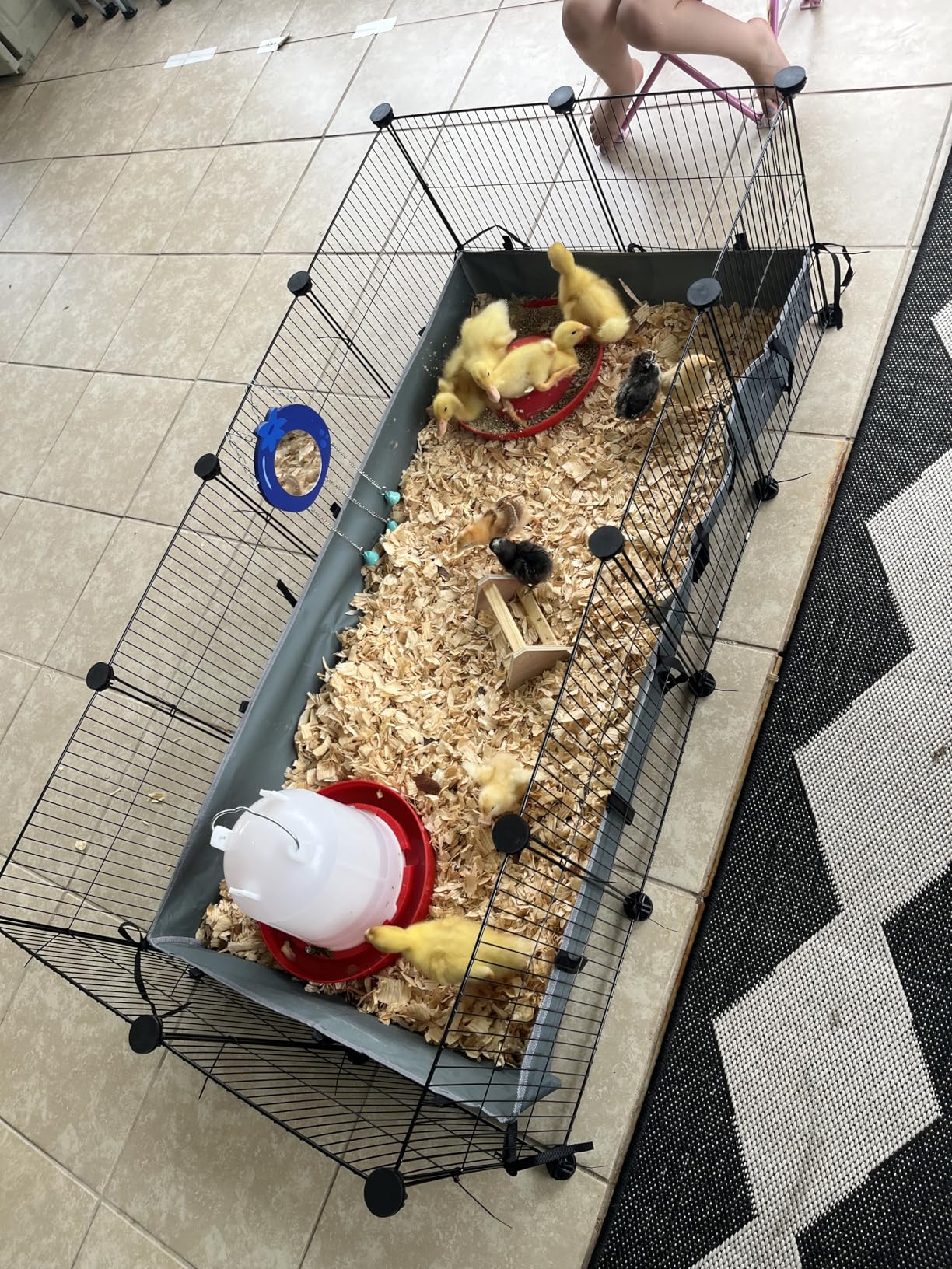 20 Panels Small Animal Playpen, 48