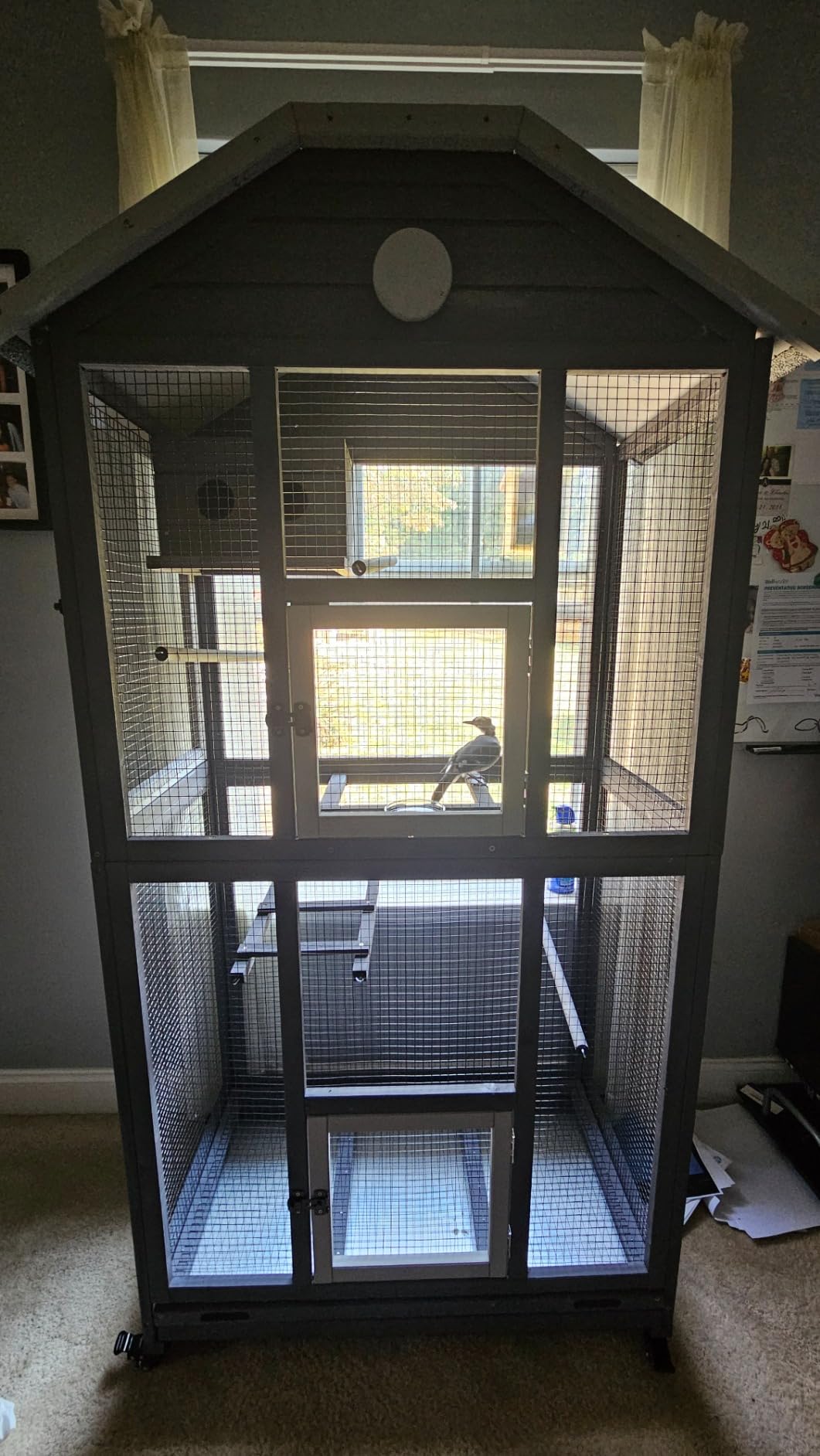 Gowoodhut Outdoor Bird Cage Large, Wooden Flight Aviary with Perches, Nest Habitat, and Easy-Clean Pull Out Tray for Parakeets, Macaws, and More customer photo 2
