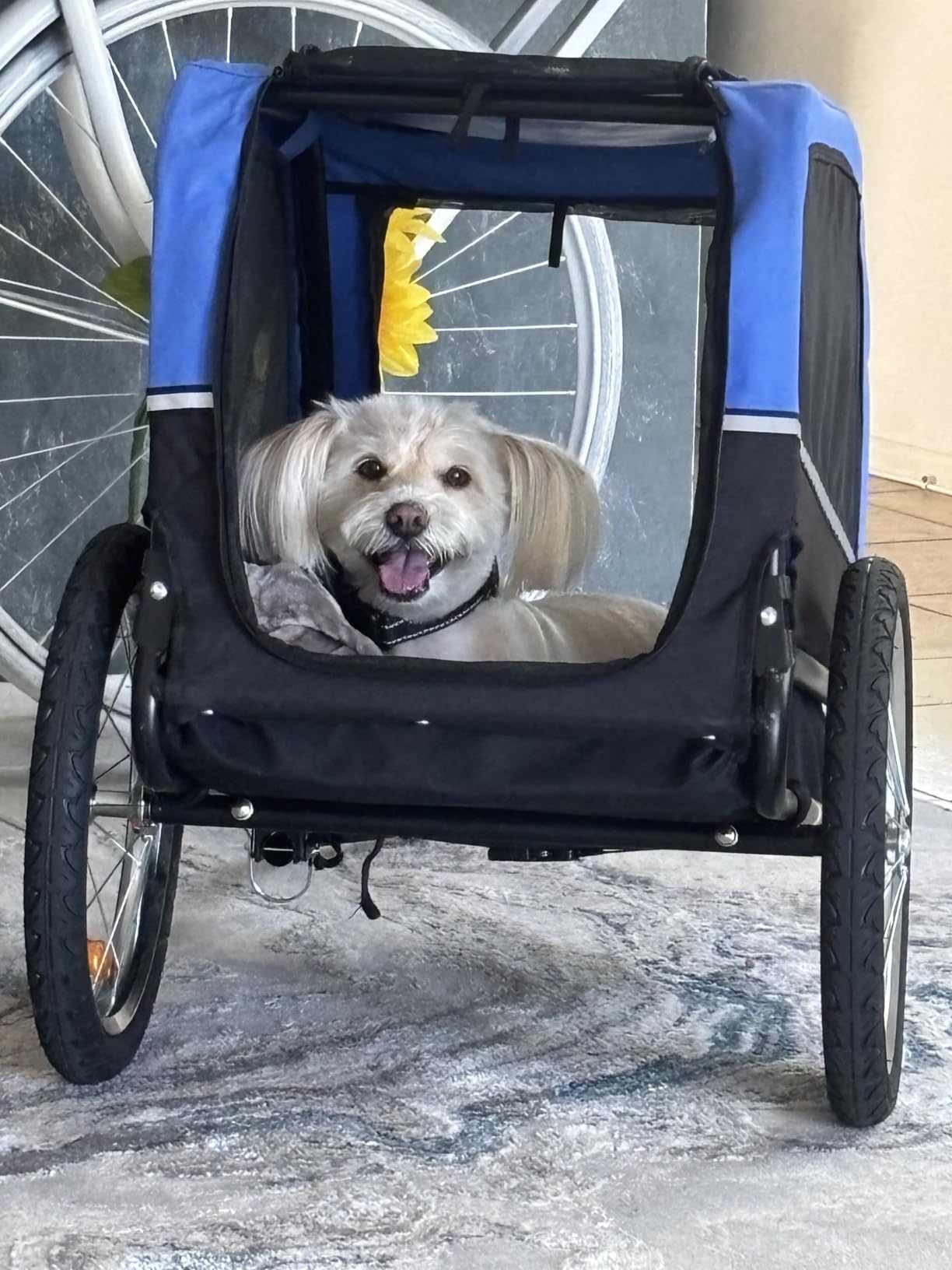 VEVOR Dog Bike Trailer, Supports up to 66 lbs, Pet Cart Bicycle Carrier for Small & Medium Dogs, Easy Folding Frame with Quick Release Wheel, Universal Bicycle Coupler, Reflector, Flag, Internal Leash customer photo 2